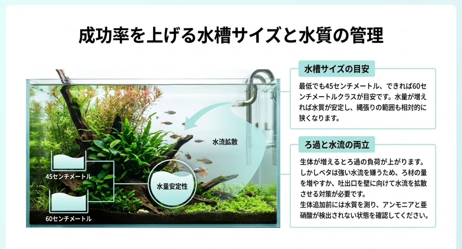 最低45cm・できれば60cmという水槽サイズの目安と、ろ過と水流の両立を示した図