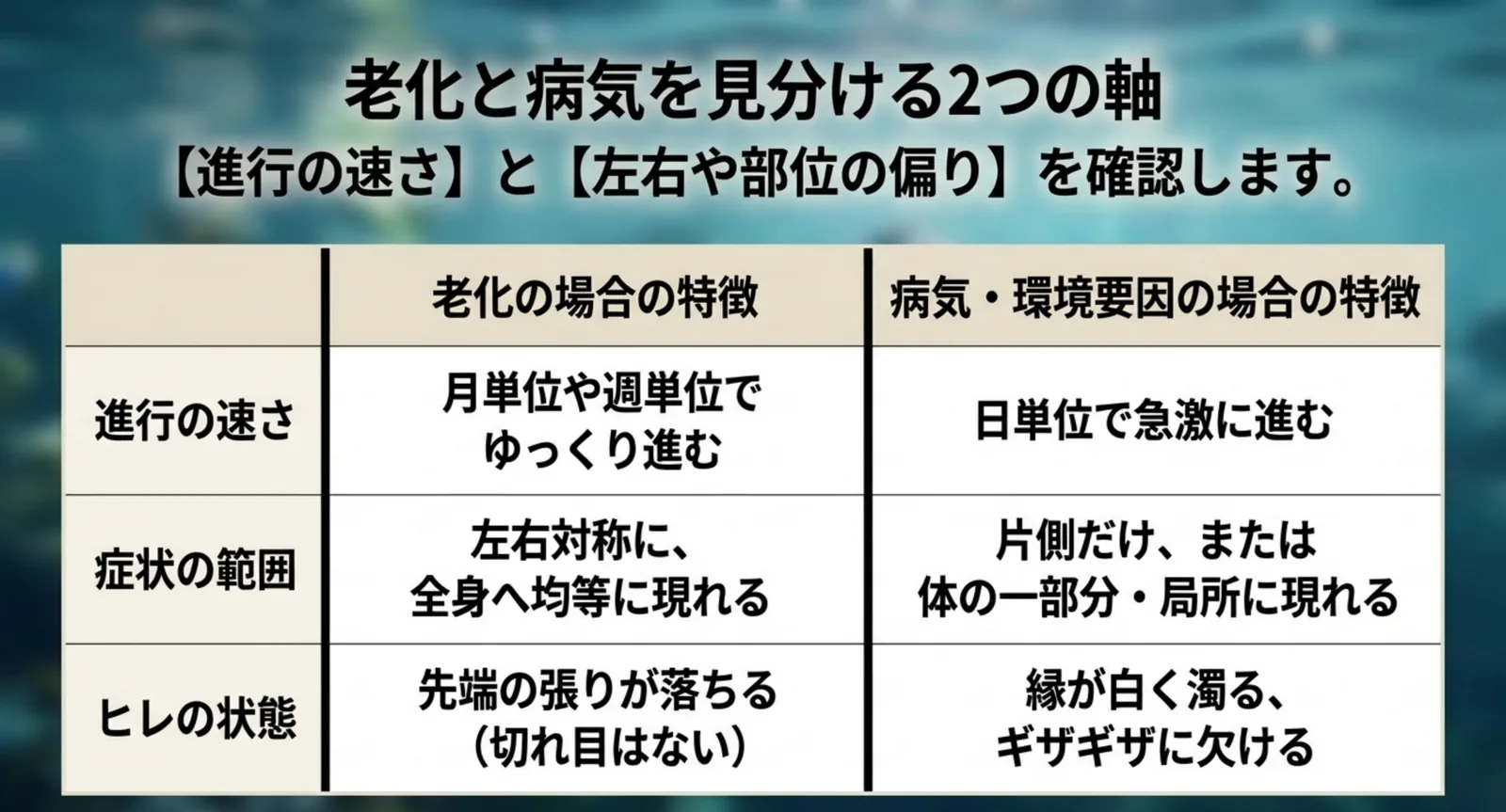 進行の速さと症状の左右差で老化と病気を切り分ける比較表