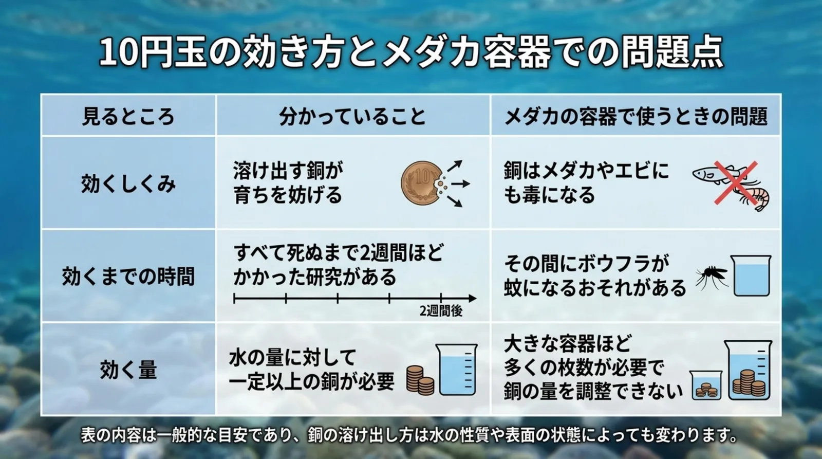10円玉の銅がボウフラに効くしくみ・効くまでの時間・効く量を、メダカの容器で使うときの問題と並べた表
