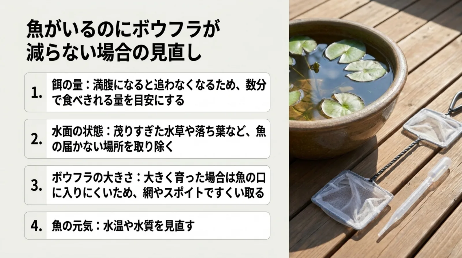 餌の量、水面の状態、ボウフラの大きさ、魚の元気の4つを順に見直す手順を示したスライド