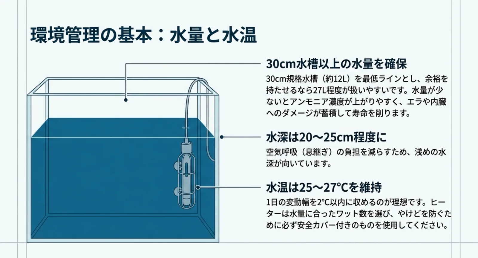 30cm水槽以上の水量、水深20から25センチ、水温25から27度という飼育条件を水槽の断面図で示したスライド