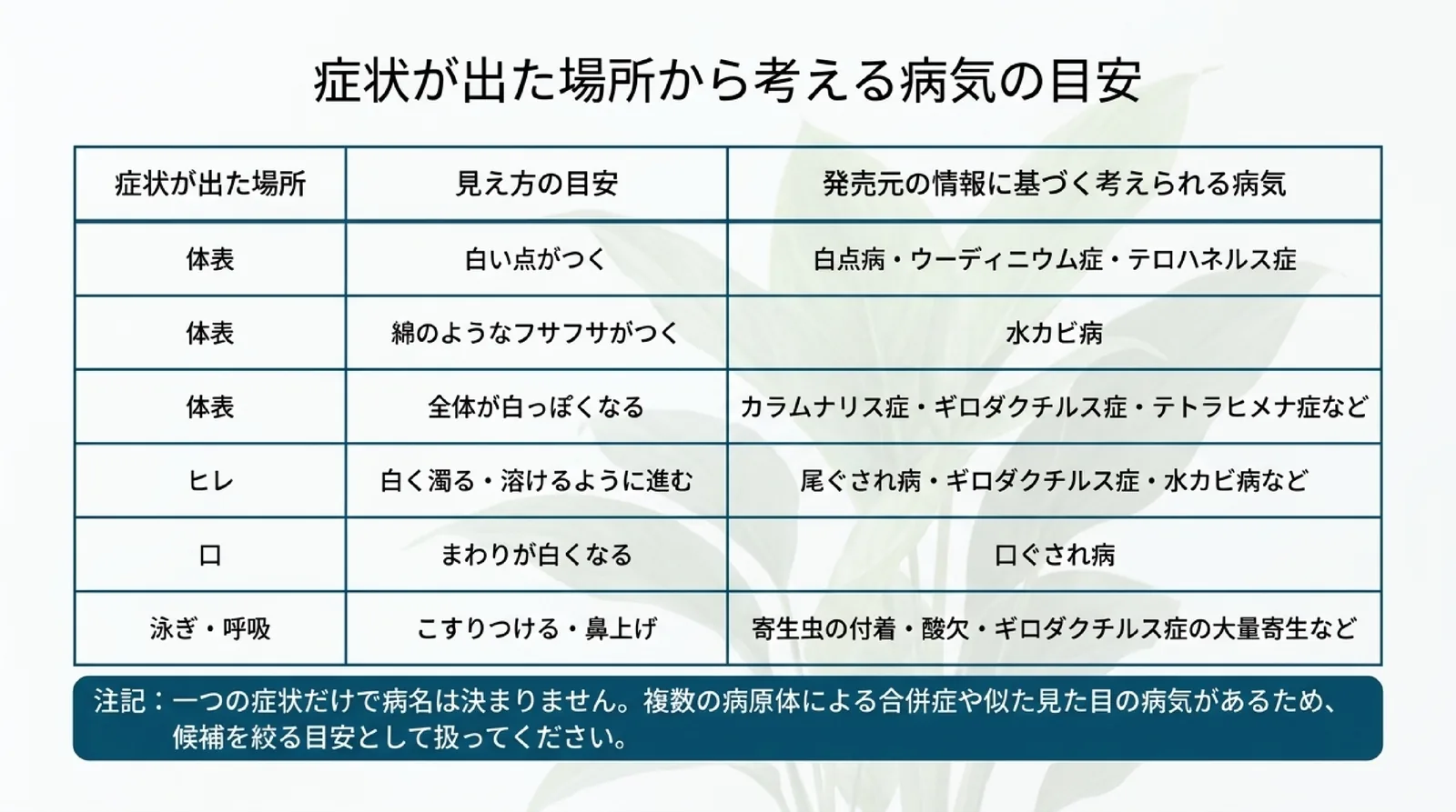 体表・ヒレ・口・泳ぎや呼吸の症状ごとに、見え方の目安と発売元の情報に基づいて考えられる病気を並べ、一つの症状だけで病名は決まらないと添えた表のスライド