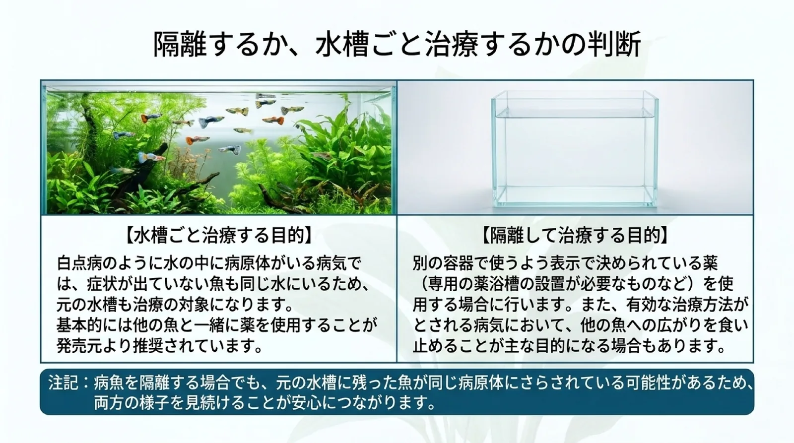 水の中に病原体がいる病気は元の水槽も治療の対象になることと、別の容器で使うよう表示で決められている薬のときに隔離することを並べて示したスライド