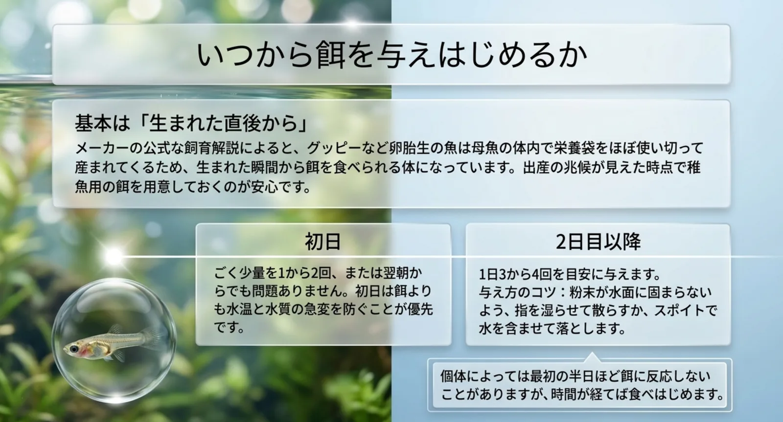 生まれた直後から餌を食べられる理由と、初日・2日目以降の与え方を示した図