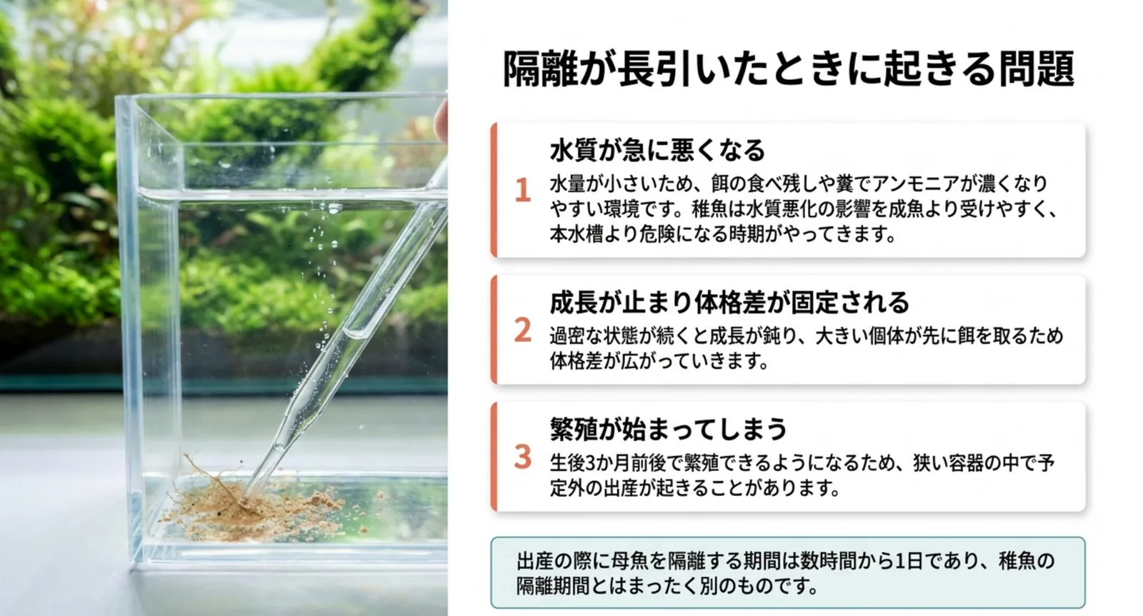 水質の急な悪化・成長が止まり体格差が固定される・繁殖が始まるという3つの問題の図
