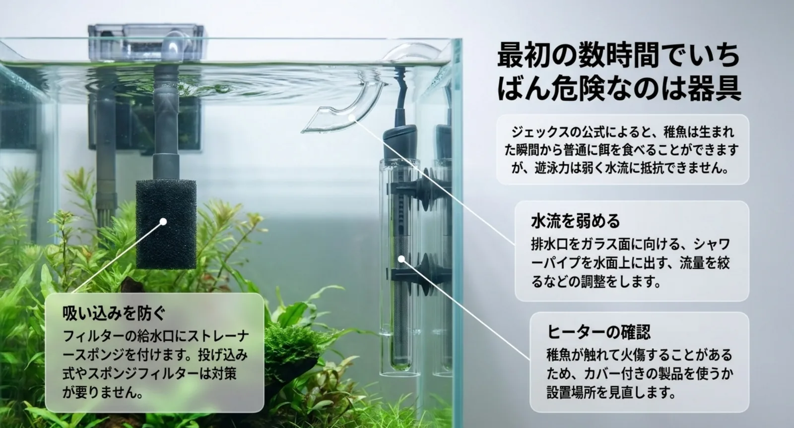 フィルターの吸い込み防止・水流を弱める調整・ヒーターのカバー確認をまとめた図