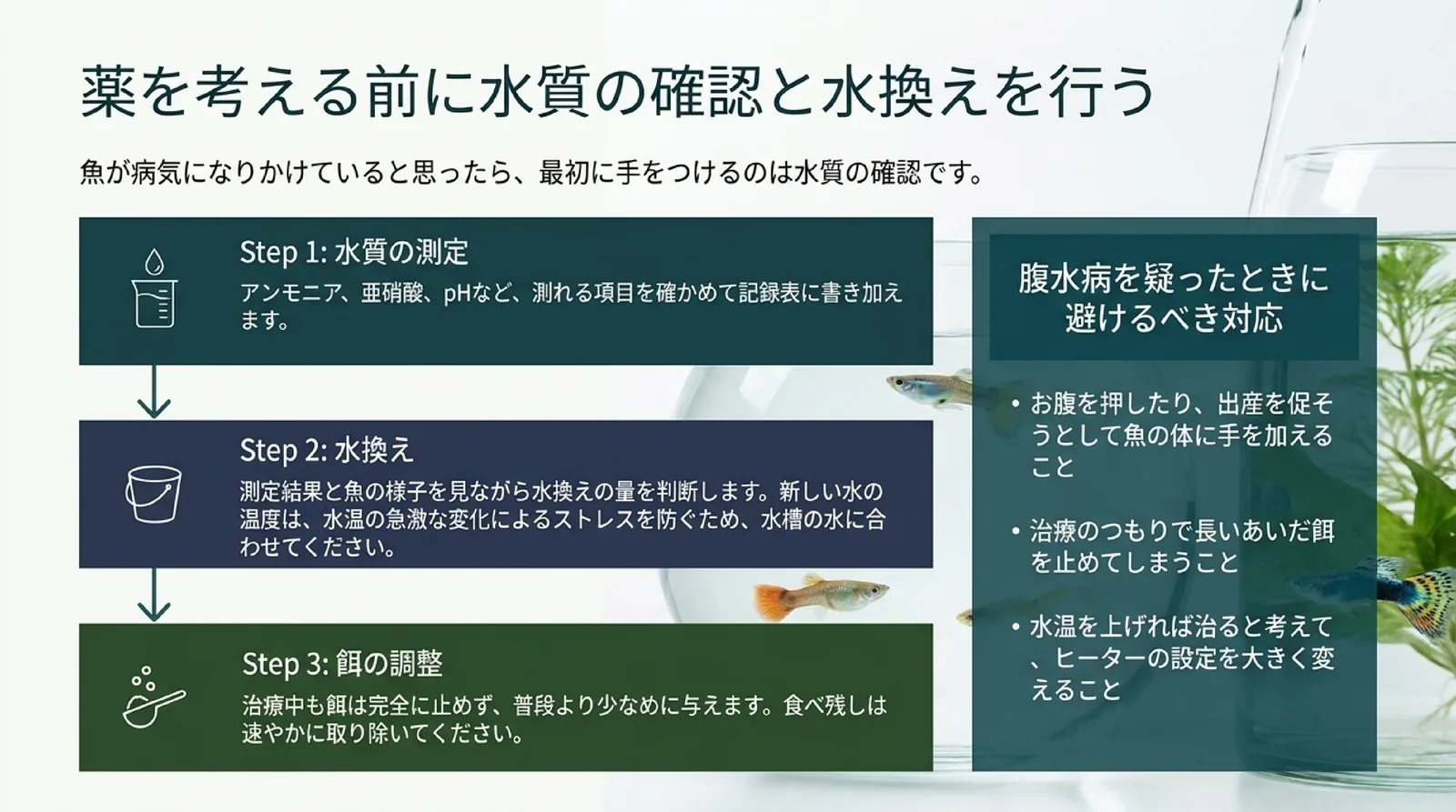 水質を測る、水換えをする、餌は止めずに少なめにするという3つの手順と、お腹を押す・餌を長く止める・水温を大きく上げるといった避けたい対応を示したスライド