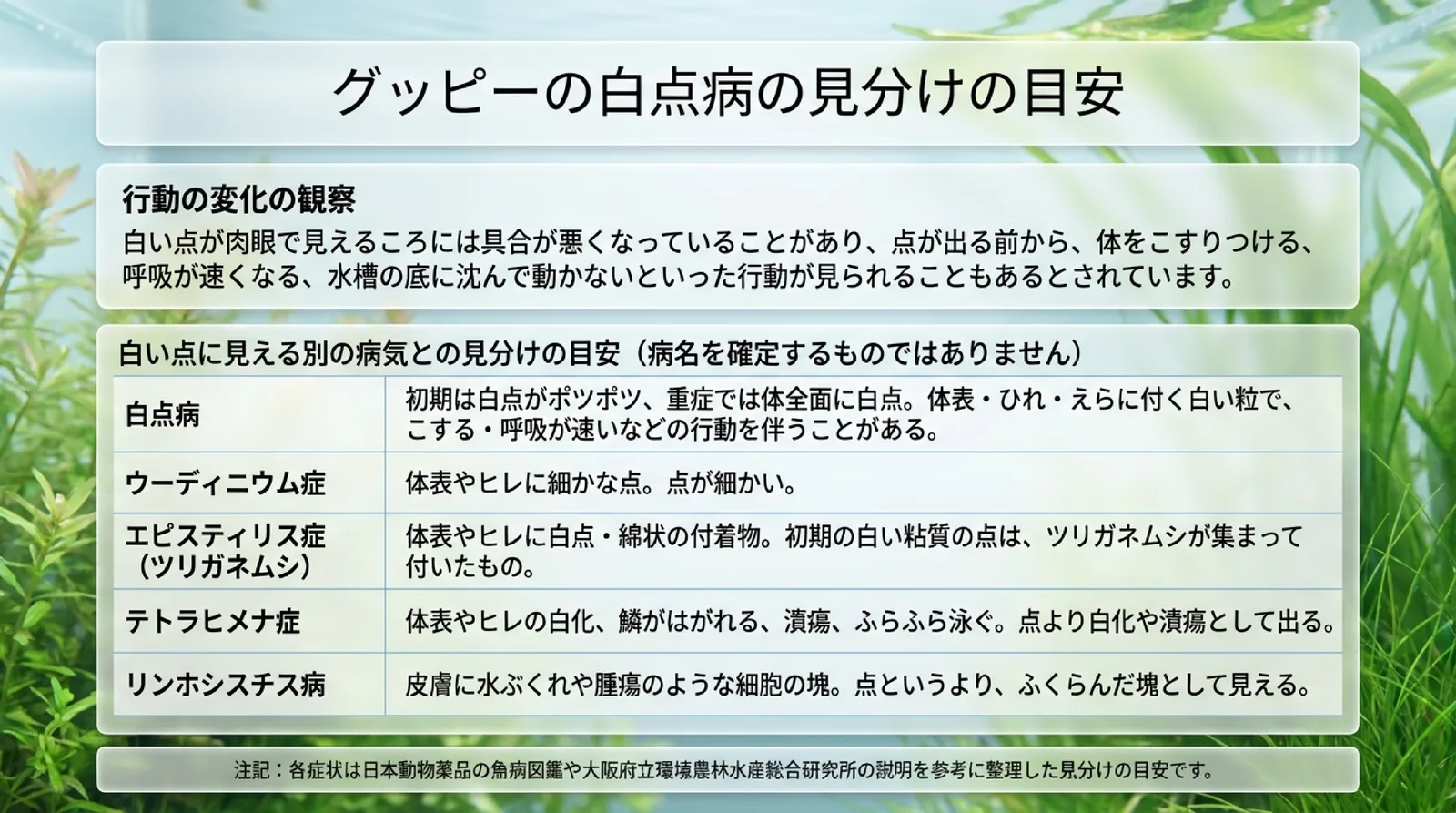 白点病・ウーディニウム症・エピスティリス症・テトラヒメナ症・リンホシスチス病の見え方を並べ、病名を確定するものではない見分けの目安と添えた表のスライド