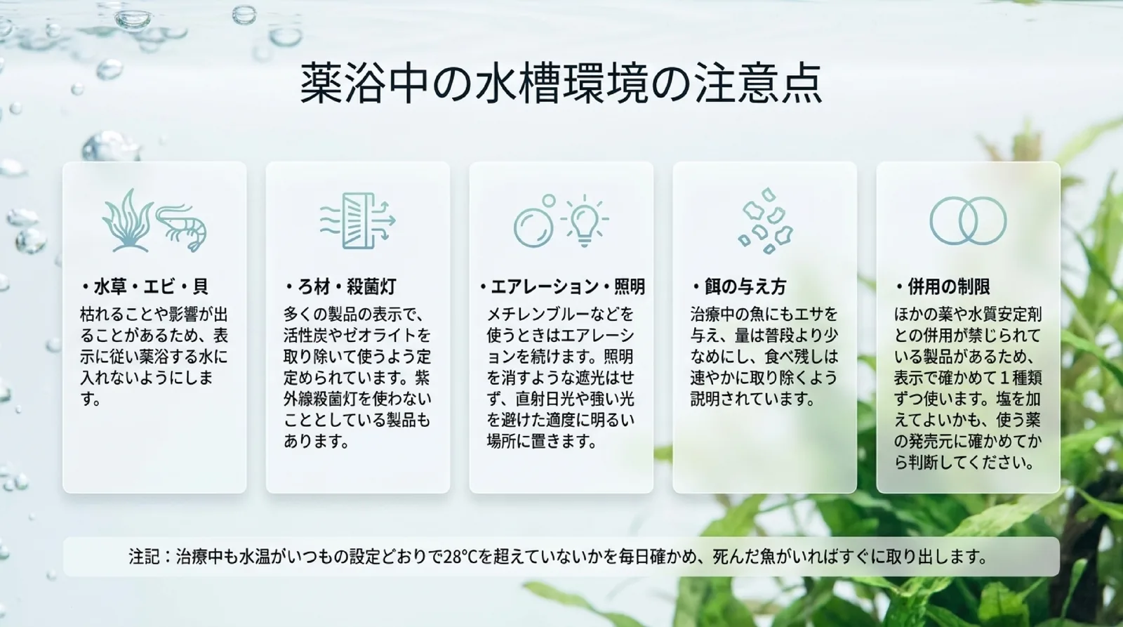 水草・エビ・貝、ろ材と殺菌灯、エアレーションと照明、餌の与え方、ほかの薬との併用の5つについて表示に従う注意をまとめたスライド