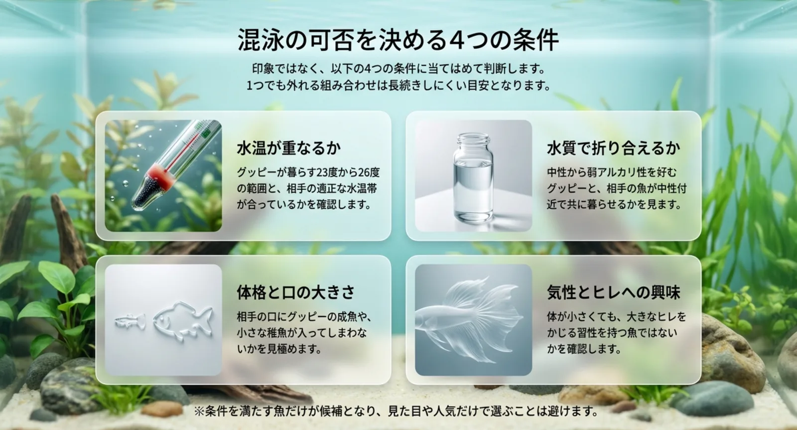水温が重なるか、水質で折り合えるか、体格と口の大きさ、気性とヒレへの興味という4条件を並べた図