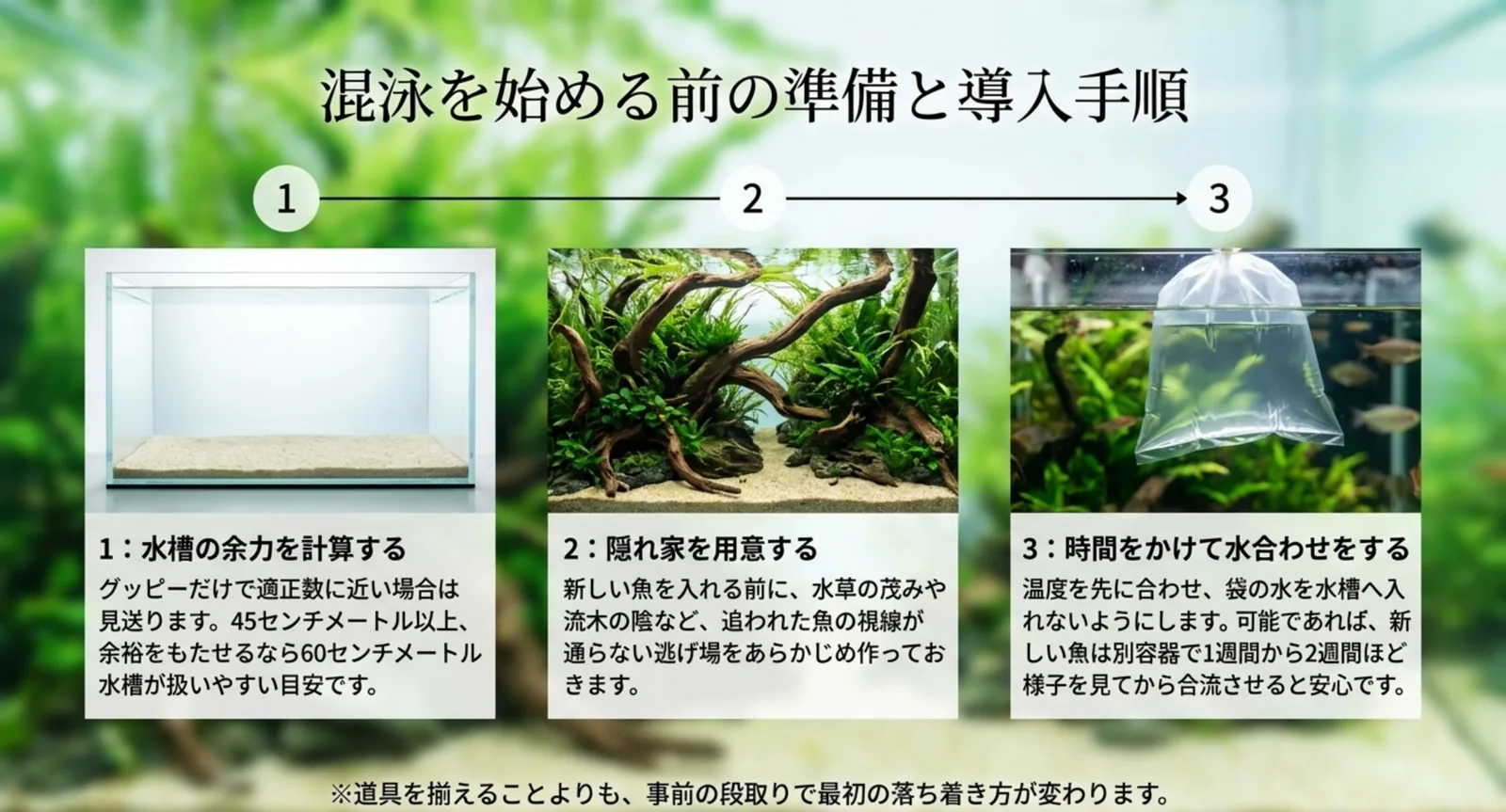 水槽の余力を計算する、隠れ家を用意する、時間をかけて水合わせをするという導入手順の図
