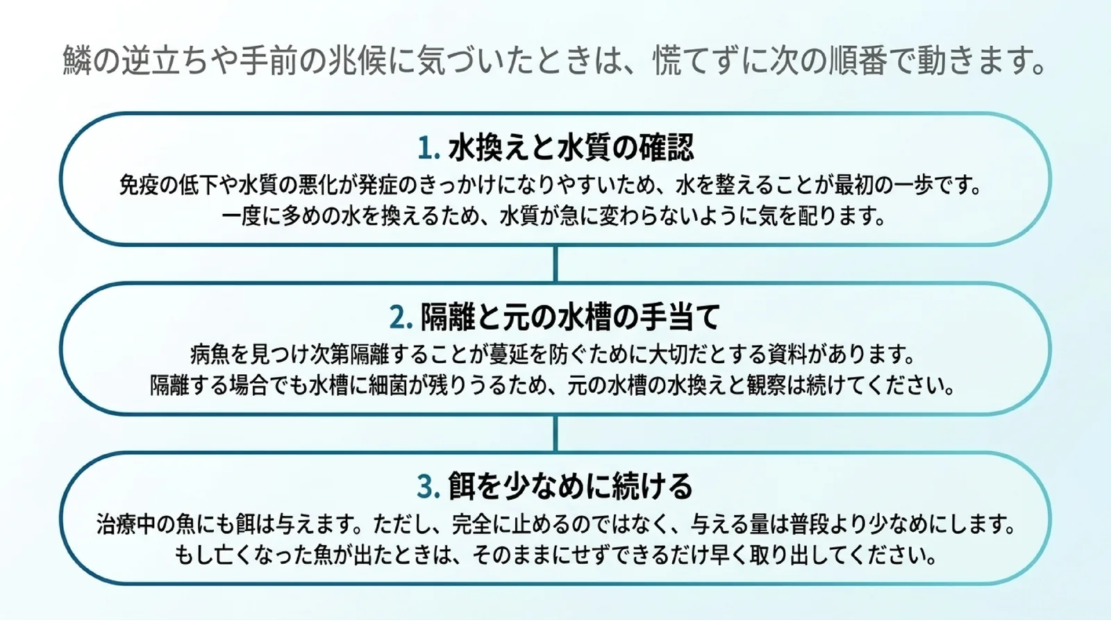 水換えと水質の確認、隔離するなら元の水槽の手当ても続けること、餌は止めずに少なめに与えることを順番に示したスライド
