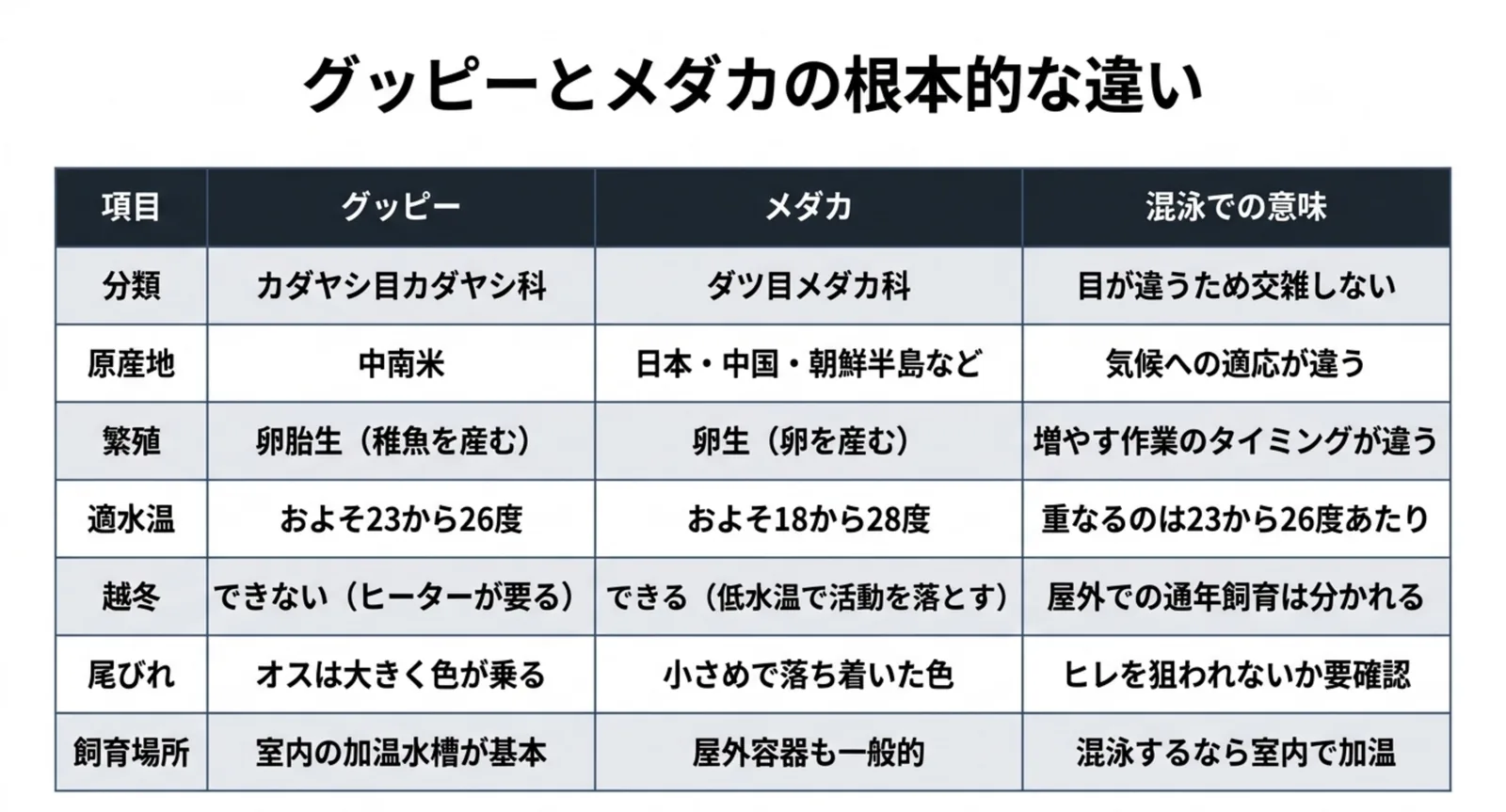分類・原産地・繁殖・適水温・越冬・尾びれ・飼育場所をグッピーとメダカで並べた比較表