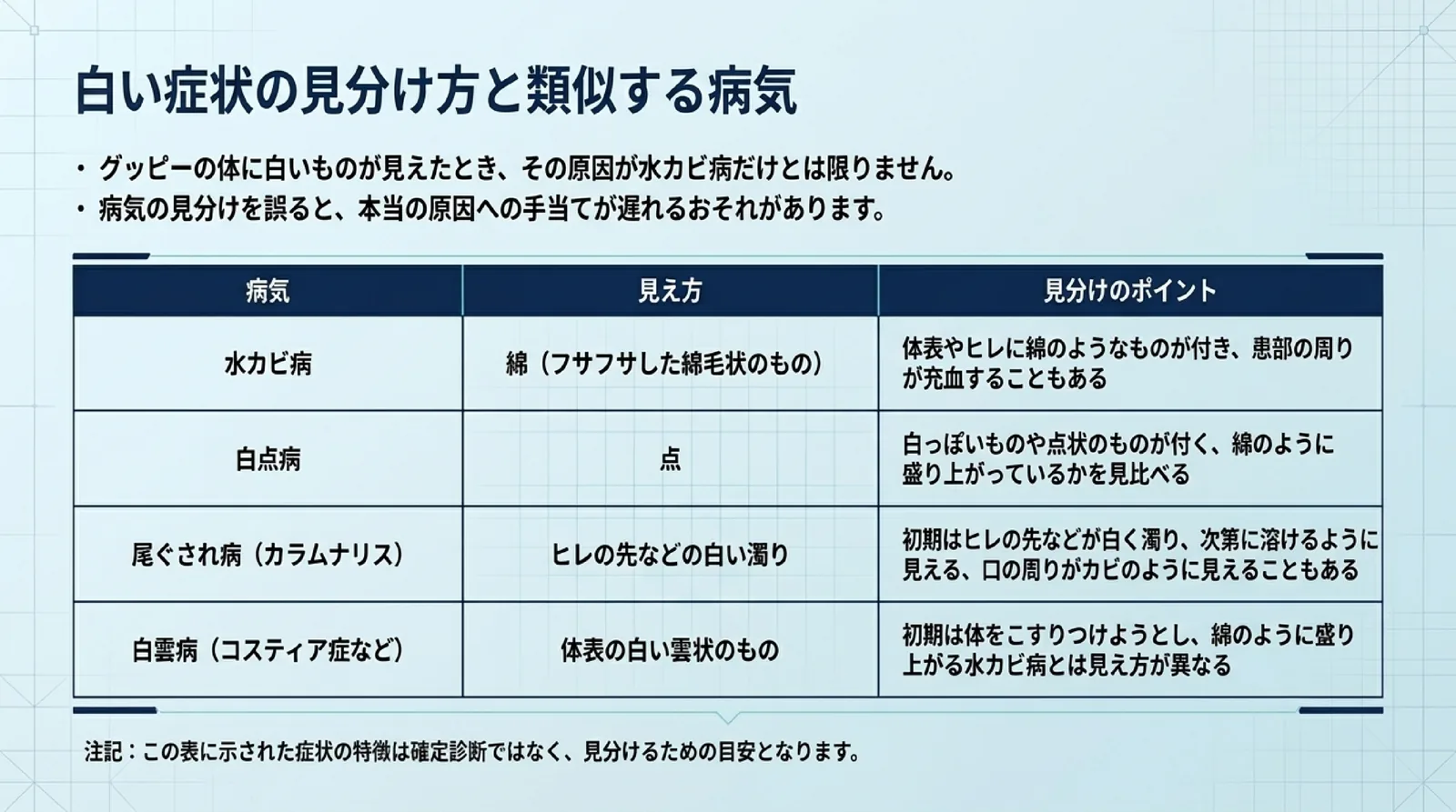 水カビ病・白点病・尾ぐされ病・白雲病の見え方と見分けのポイントを並べ、症状の特徴は見分けの目安で確定診断ではないと添えた表のスライド