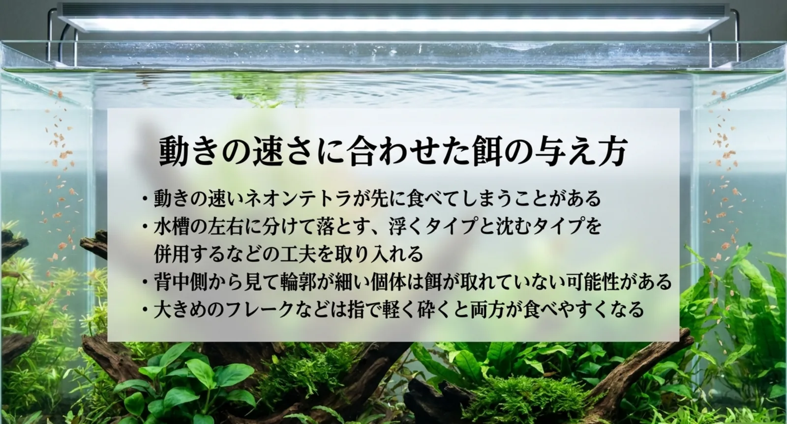 餌を左右に分けて落とす、浮くタイプと沈むタイプを併用するなどの工夫を挙げた図