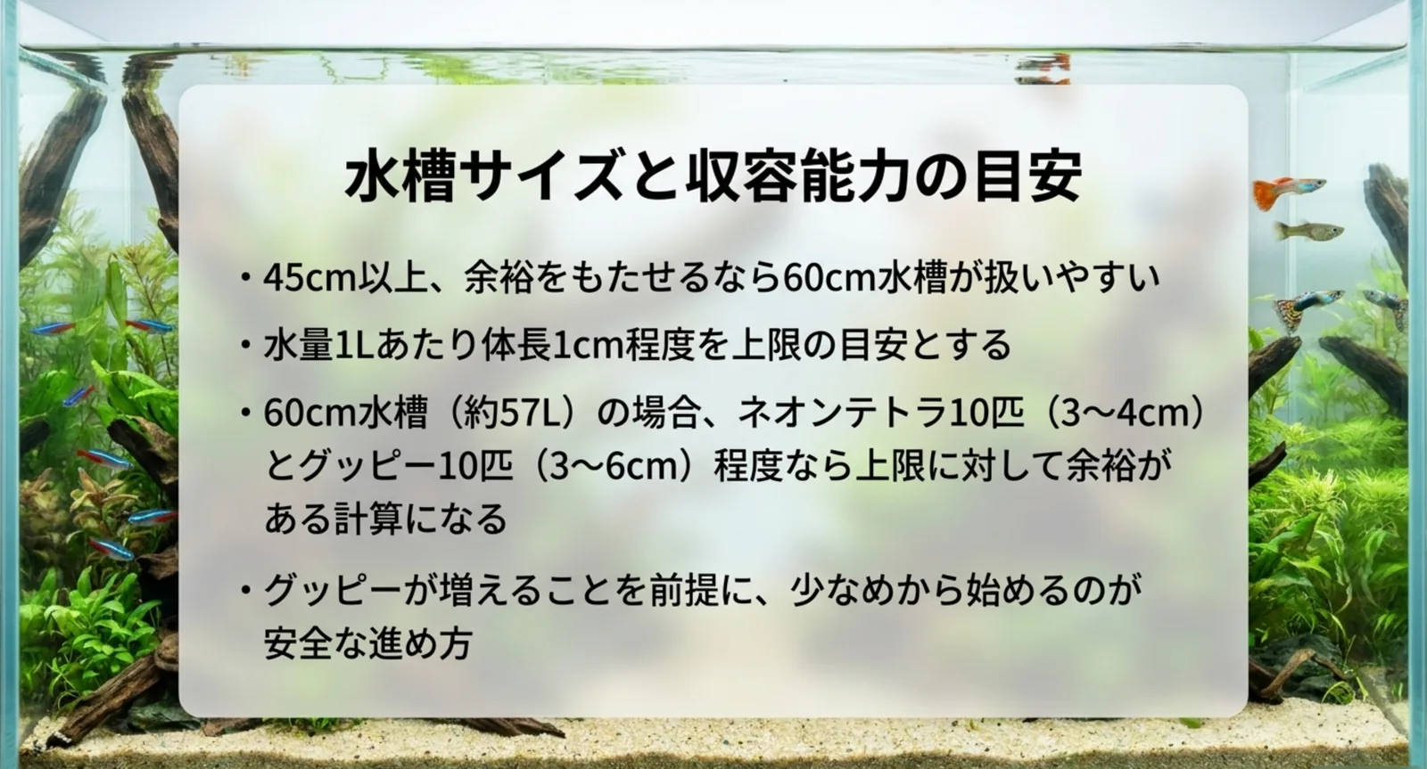 45cm以上・60cm水槽が扱いやすいこと、水量1Lあたり体長1cmという上限の目安を示した図
