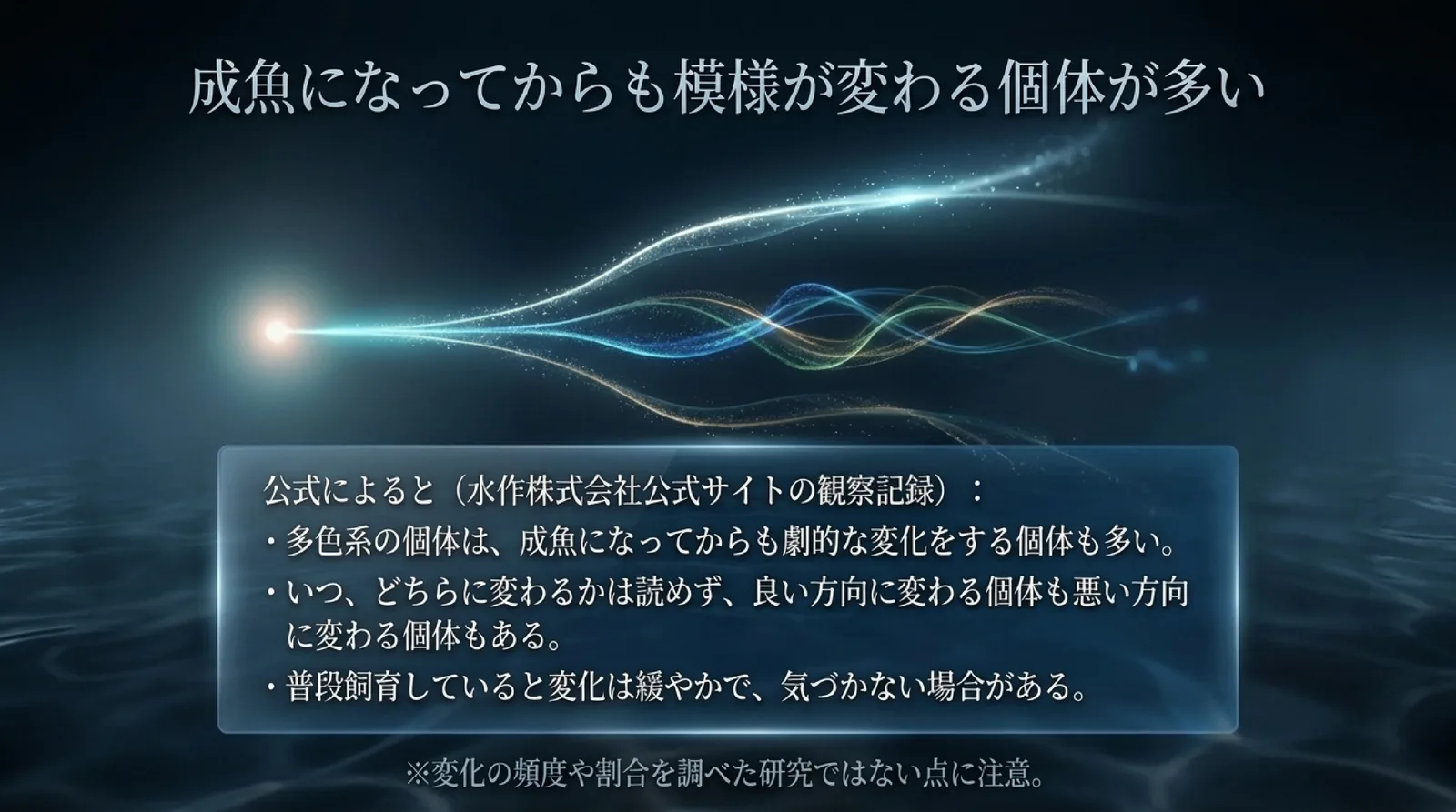水作の公式サイトの観察記録をもとに、多色系は成魚になってからも大きく変わる個体が多く、良くなる個体も悪くなる個体もあり、ふだんは変化に気づきにくいことを示したスライド