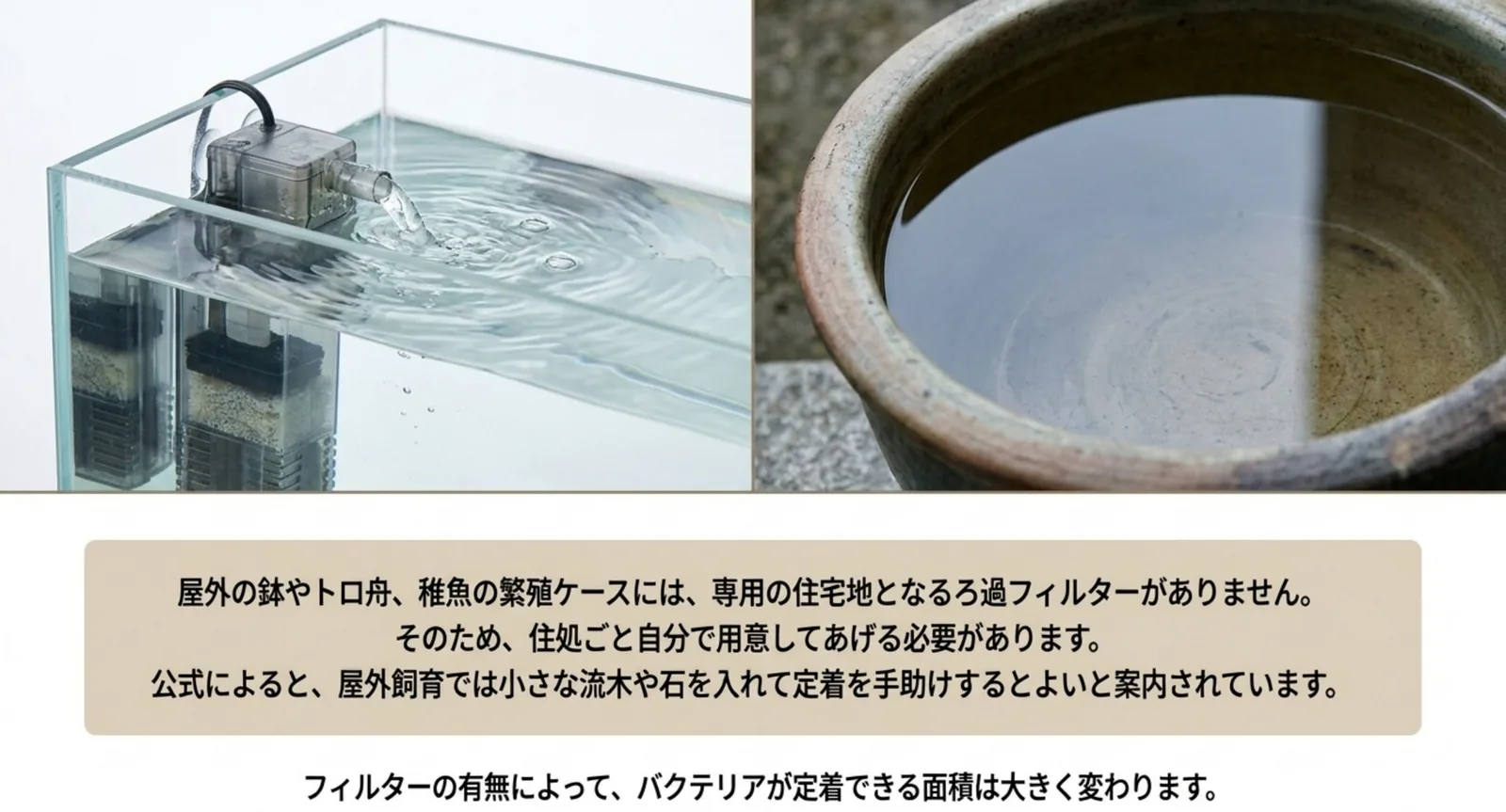 ろ過フィルター付きの水槽と屋外の鉢を並べ、フィルターのない容器では住処ごと自分で用意する必要があると示したスライド
