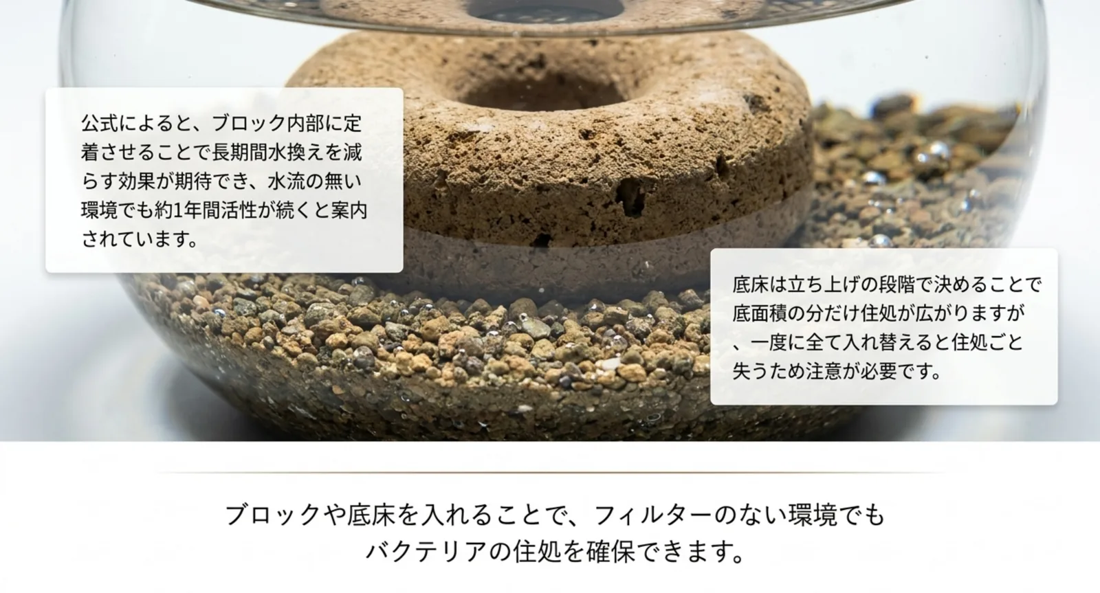 鉢の底にドーナツ型のブロックと底床を入れた写真に、水流の無い環境でも活性が一年間続くという公式の案内と、底床を一度に入れ替える注意を添えたスライド
