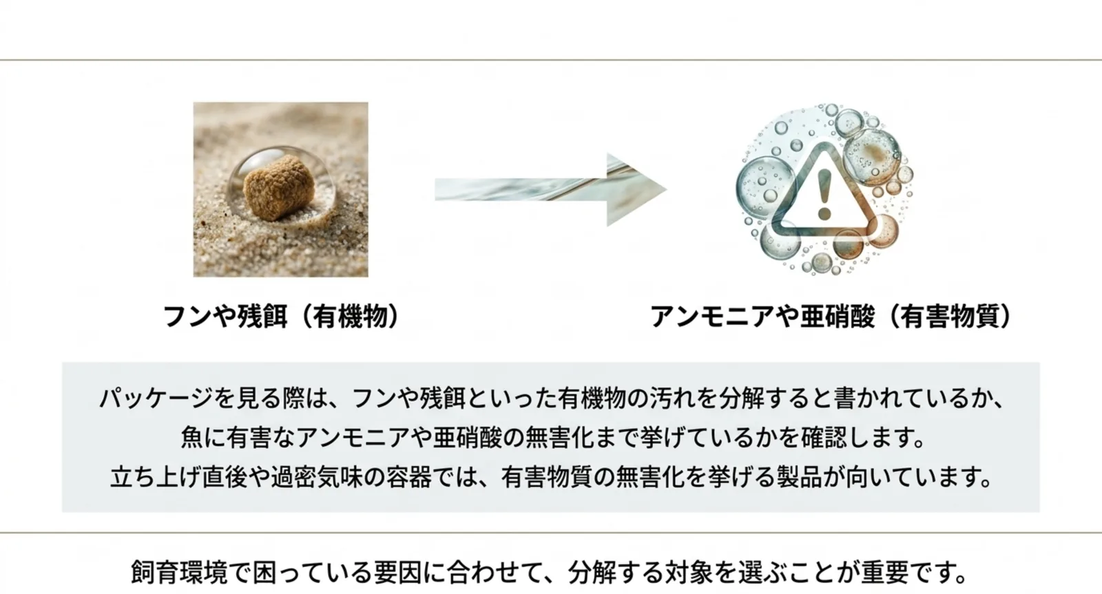 フンや残餌といった有機物からアンモニアや亜硝酸へ変わる流れを図にし、製品が何を分解対象にしているかを確認すると示したスライド