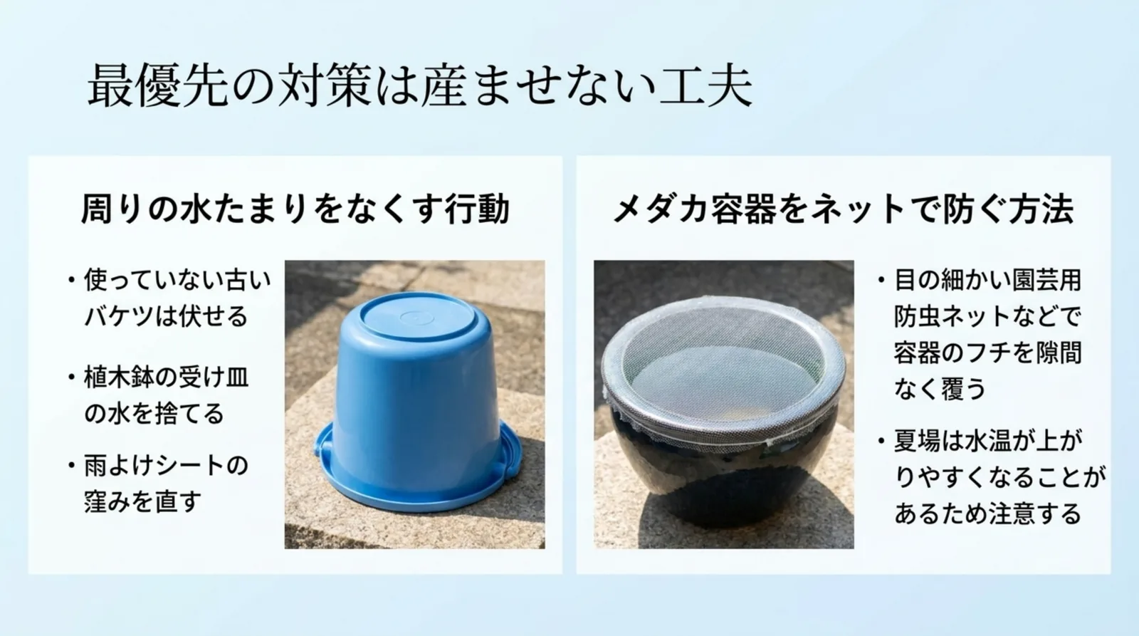 伏せたバケツの写真と防虫ネットで覆った鉢の写真を並べ、周りの水たまりをなくす行動とメダカの容器をネットで防ぐ方法を示したスライド
