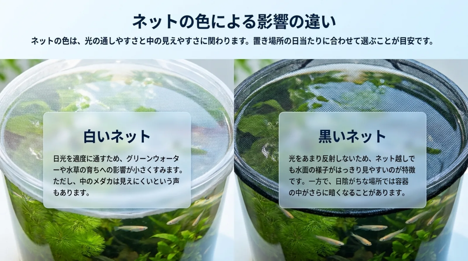 白いネットと黒いネットをかけた容器を並べ、光の通しやすさと中の見えやすさの違いを説明したスライド
