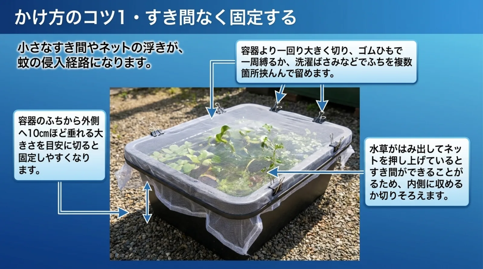 容器より一回り大きく切ったネットをふちの外へ垂らし、クリップで留めて水草のはみ出しを防ぐ固定方法を示したスライド