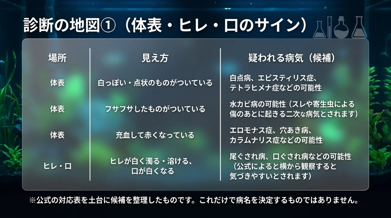 体表の白い点やフサフサしたもの、充血、ヒレや口が白くなるといったサインごとに疑われる病気の候補を並べ、病名を決めるものではないと添えた表のスライド