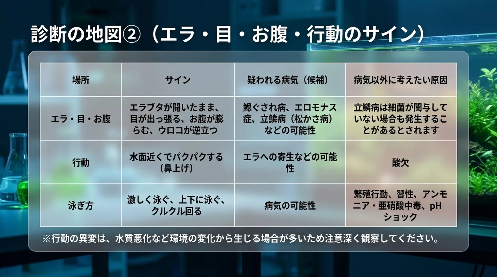 エラ・目・お腹、鼻上げ、泳ぎ方の異変ごとに疑われる病気と、酸欠や水質など病気以外に考えたい原因を並べた表のスライド