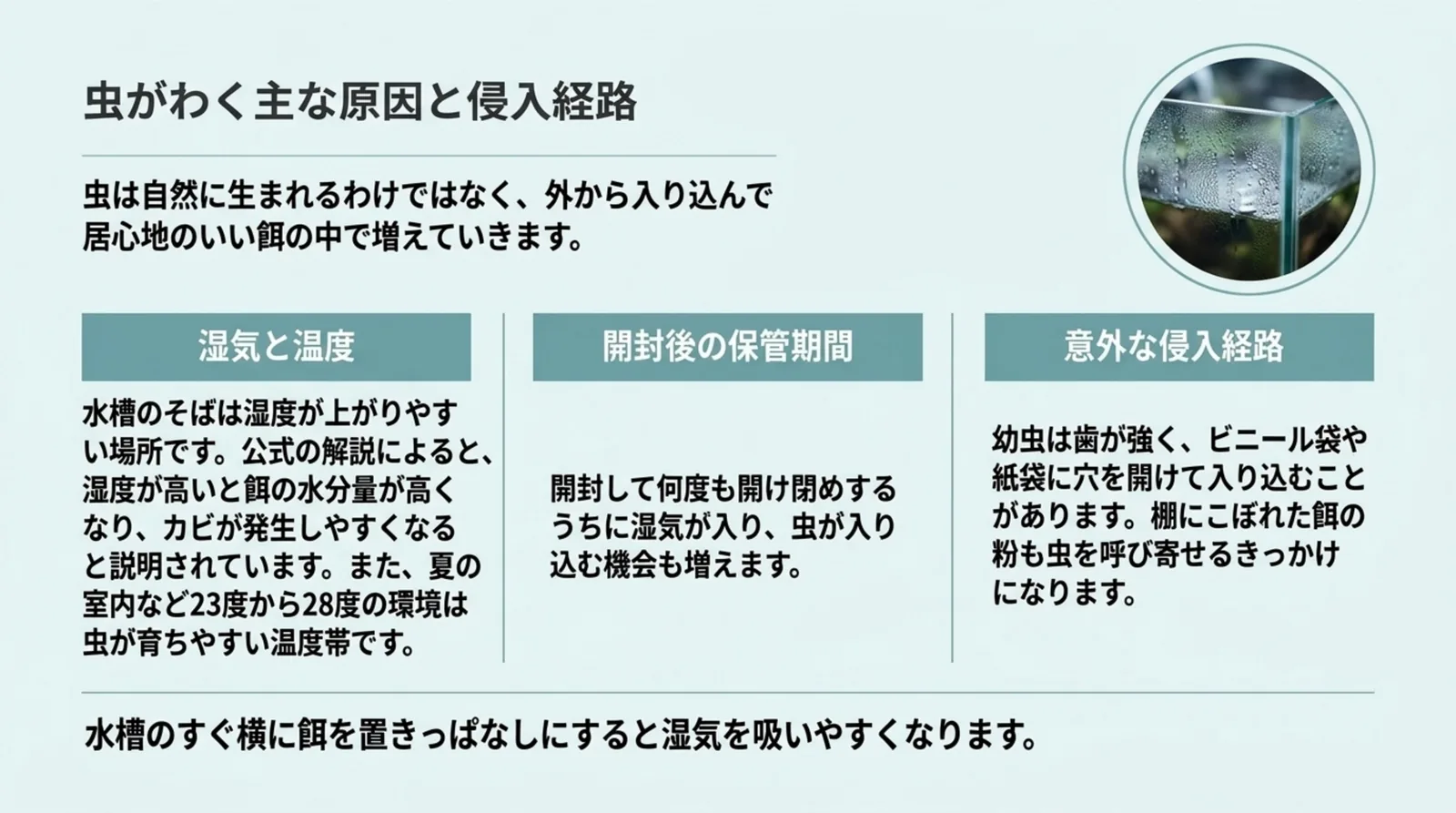 湿気と温度、開封後の保管期間、袋に穴を開けての侵入という、餌に虫がわく3つの原因を整理したスライド