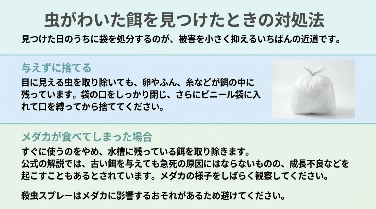 虫がわいた餌は与えずに袋を二重にして捨てることと、メダカが食べてしまった場合の対応を説明したスライド