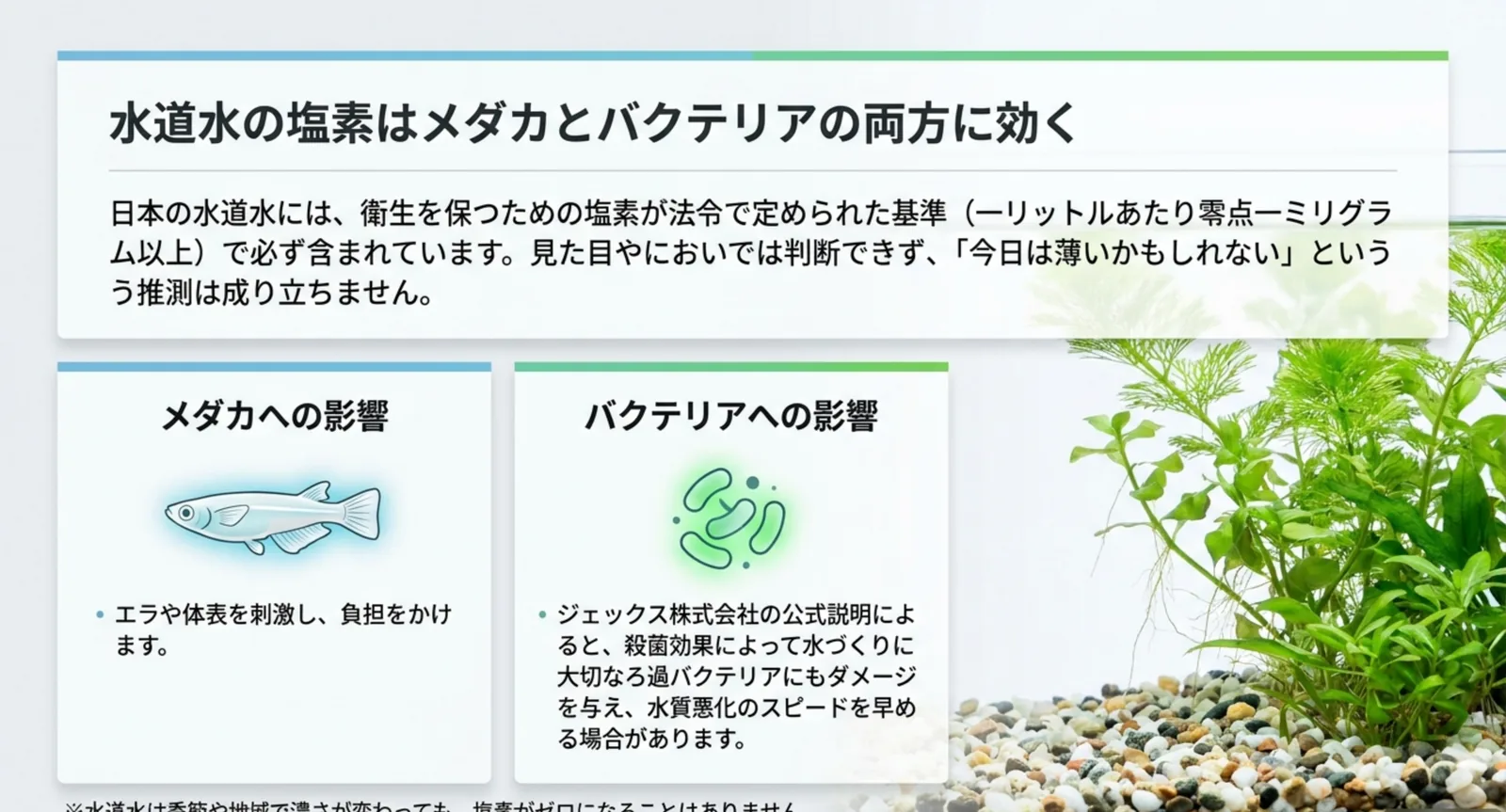 水道水の残留塩素が法令で1リットルあたり0.1ミリグラム以上と定められていることと、メダカとろ過バクテリアそれぞれへの影響を並べたスライド