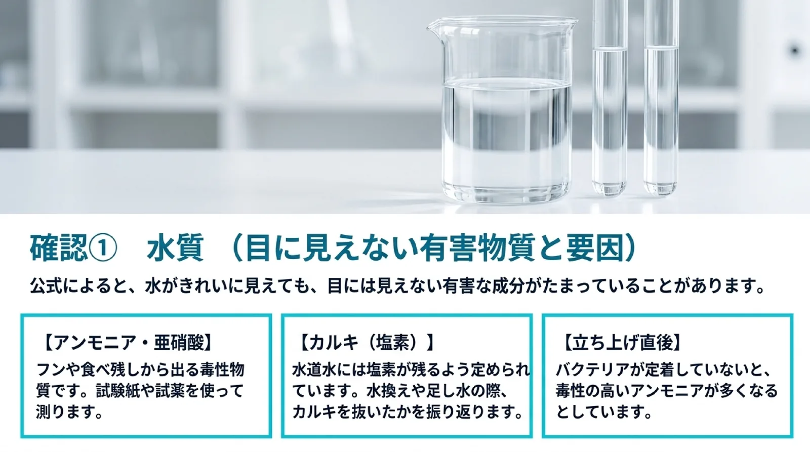 アンモニア・亜硝酸、水道水のカルキ、立ち上げ直後の水槽という、水が透明でも見落としやすい3つの要因を示したスライド