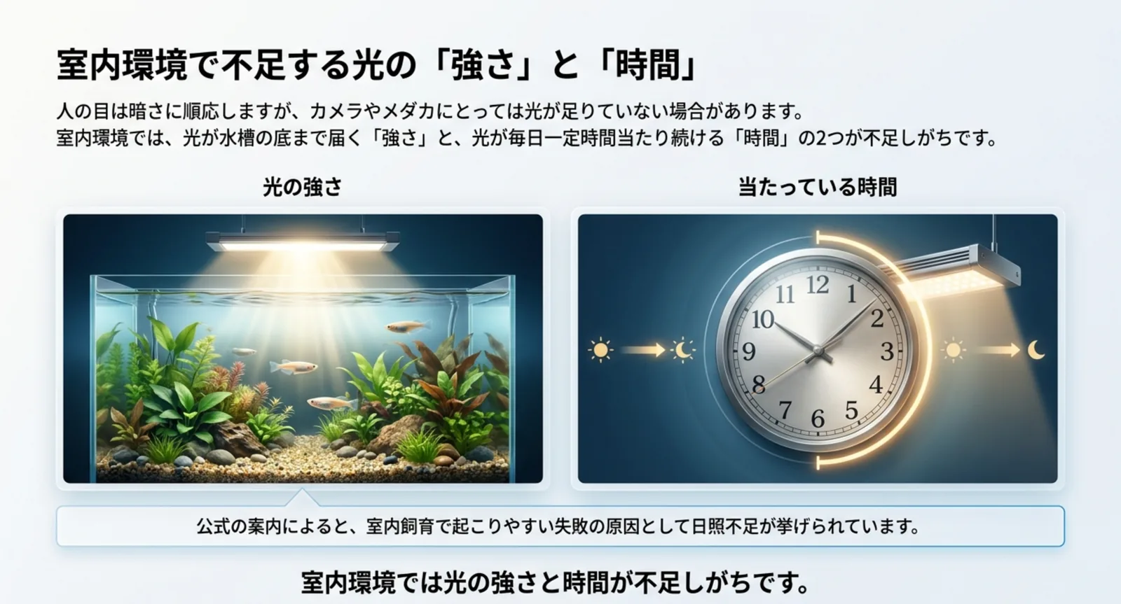 照明の付いた水槽と時計の図を左右に並べ、室内では光の強さと毎日当たる時間の2つが不足しやすいことを示したスライド