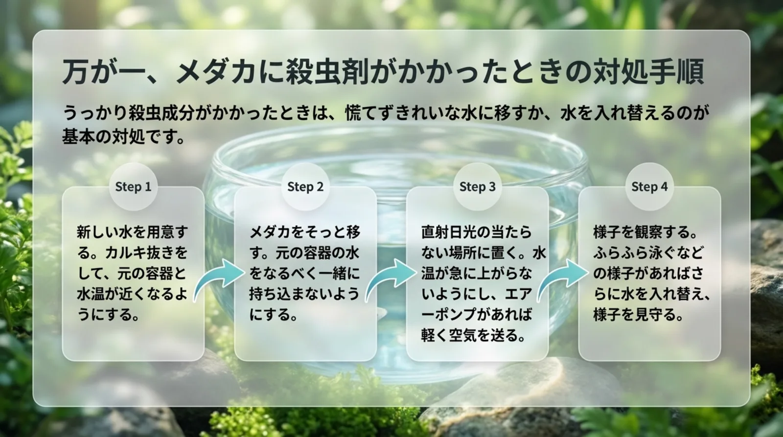 新しい水の用意、メダカの移動、日陰とエアレーション、様子の観察という4つの対処手順を並べたスライド
