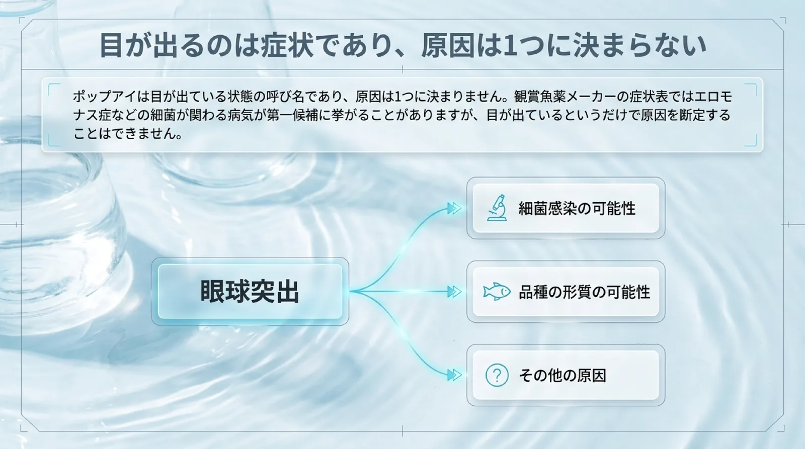 眼球突出の原因として細菌感染、品種の形質、その他の原因が考えられ、目が出ているだけで原因を断定できないことを示したスライド