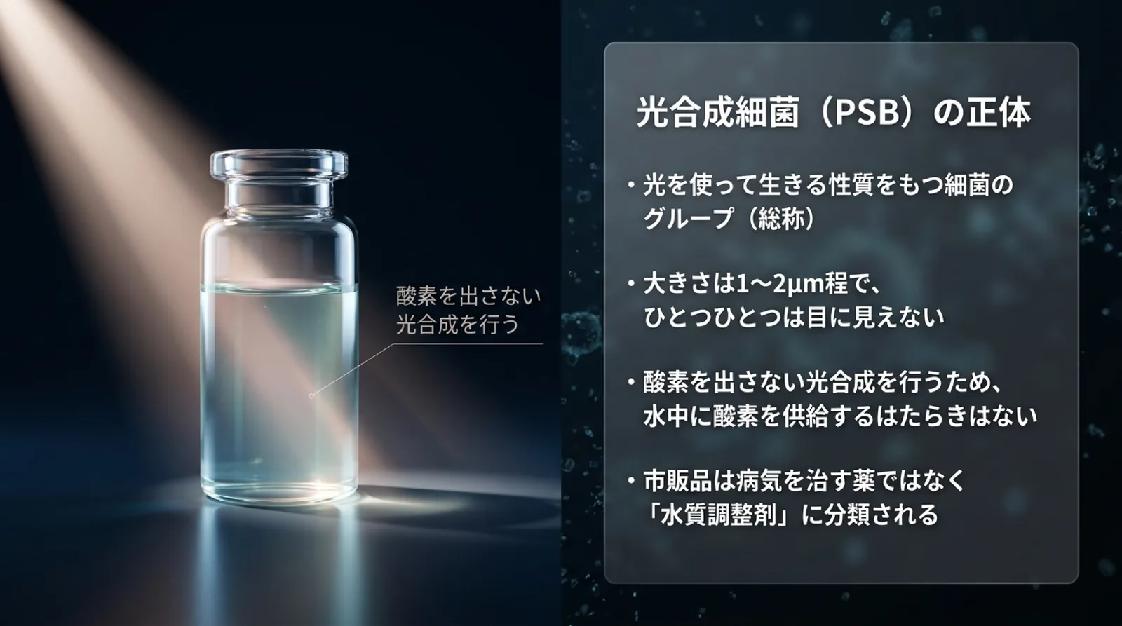 光合成細菌は光を使って生きる細菌のグループで、酸素を出さない光合成をするため水中に酸素を供給しないこと、市販品は水質調整剤に分類されることを示したスライド