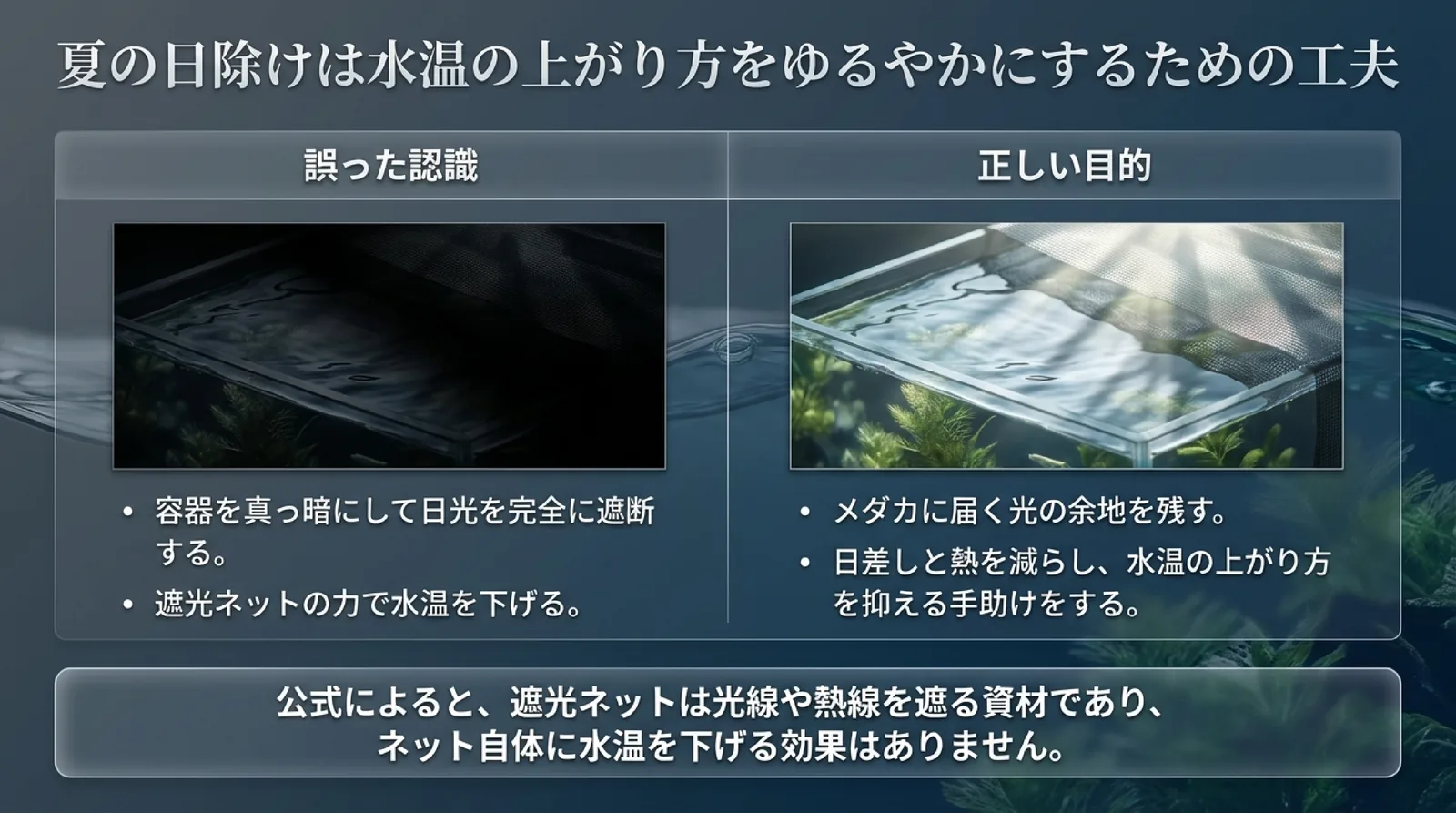 容器を真っ暗にする、ネットで水温を下げるという誤った認識と、光の余地を残して水温の上がり方を抑えるという正しい目的を比べたスライド