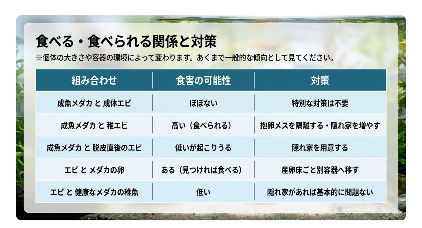 成魚同士、稚エビ、脱皮直後のエビ、メダカの卵、稚魚という組み合わせごとに食害の可能性と対策を並べた表のスライド