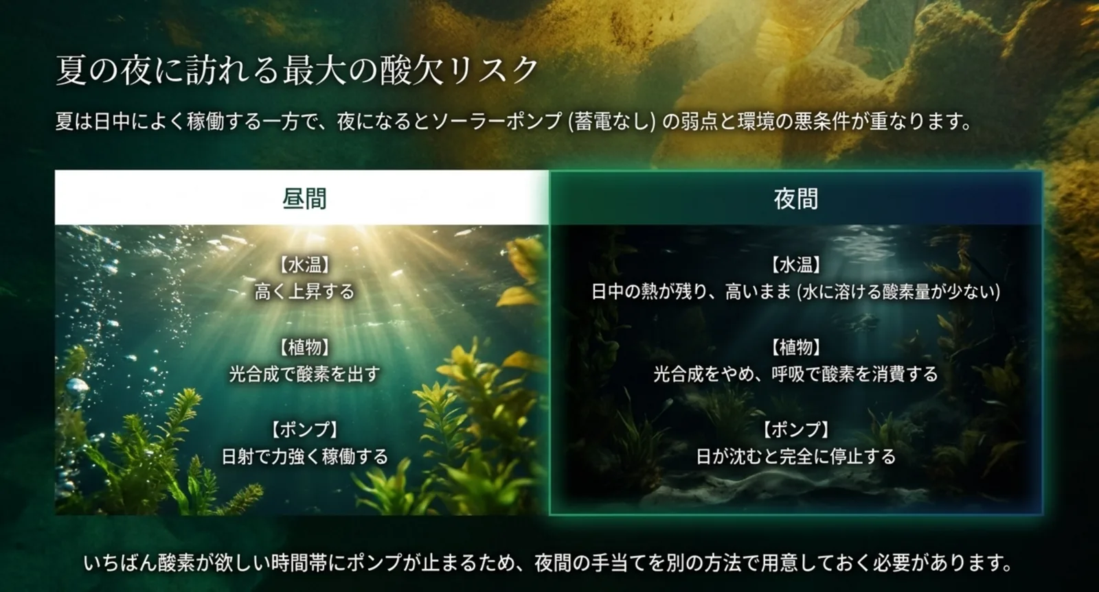 昼と夜で水温・水草の働き・ポンプの稼働がどう変わるかを左右に並べ、夜は別の手当てが要ることを示したスライド