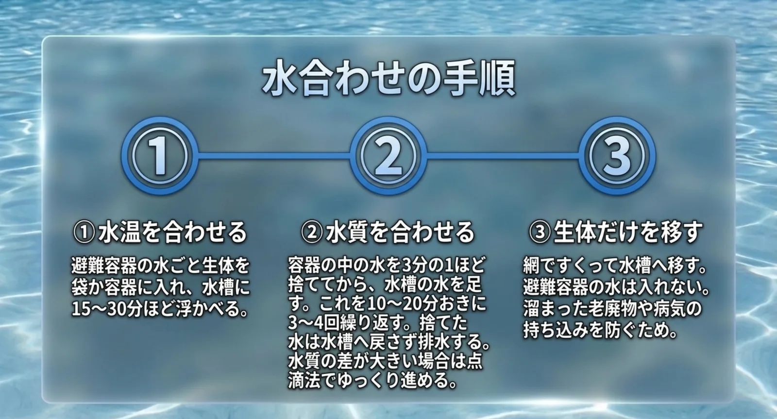 水温を合わせる、容器の水を捨てながら水槽の水を足す、生体だけを網で移すという三段階の手順を並べたスライド