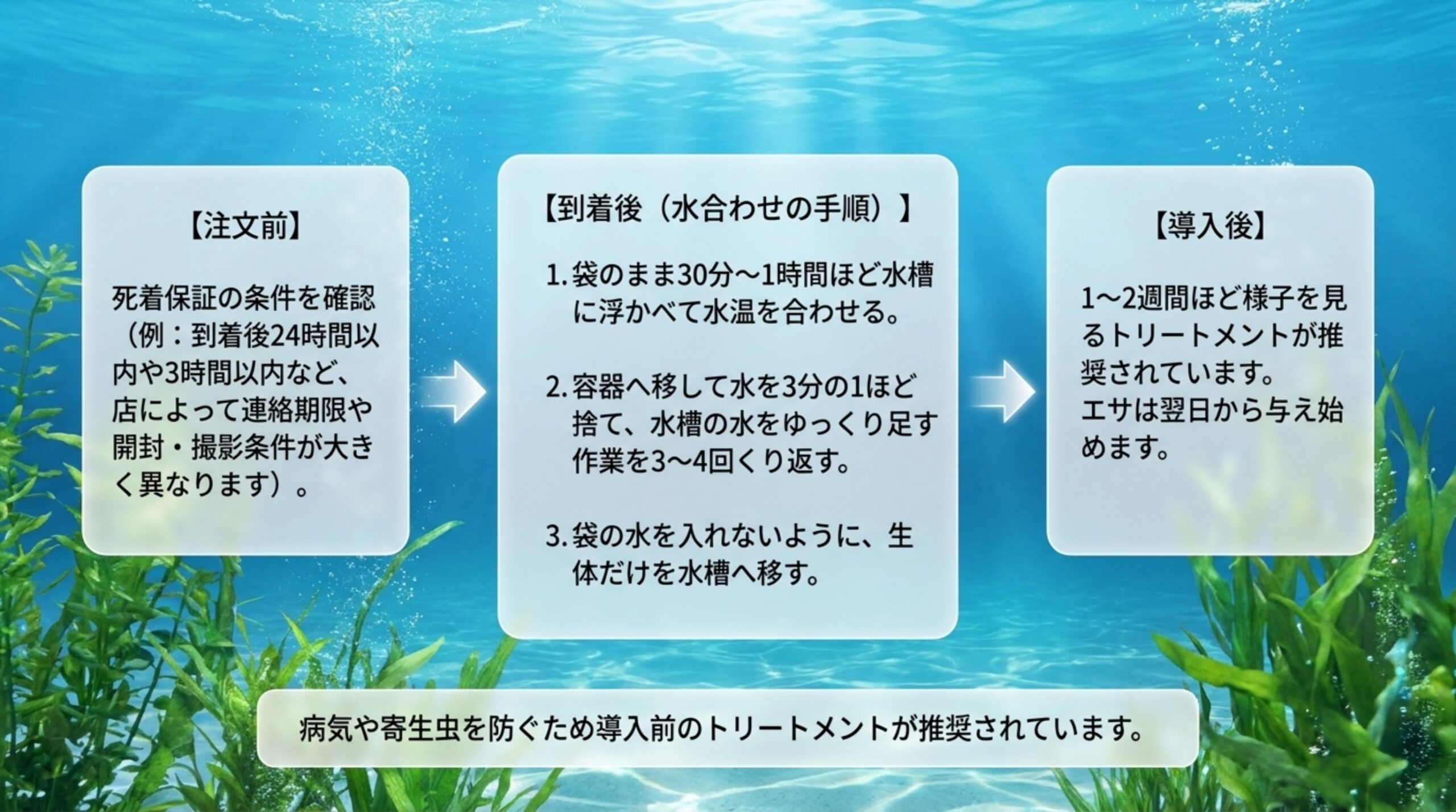 注文前の死着保証の確認、到着後の水合わせの手順、導入後のトリートメントの流れを並べたスライド