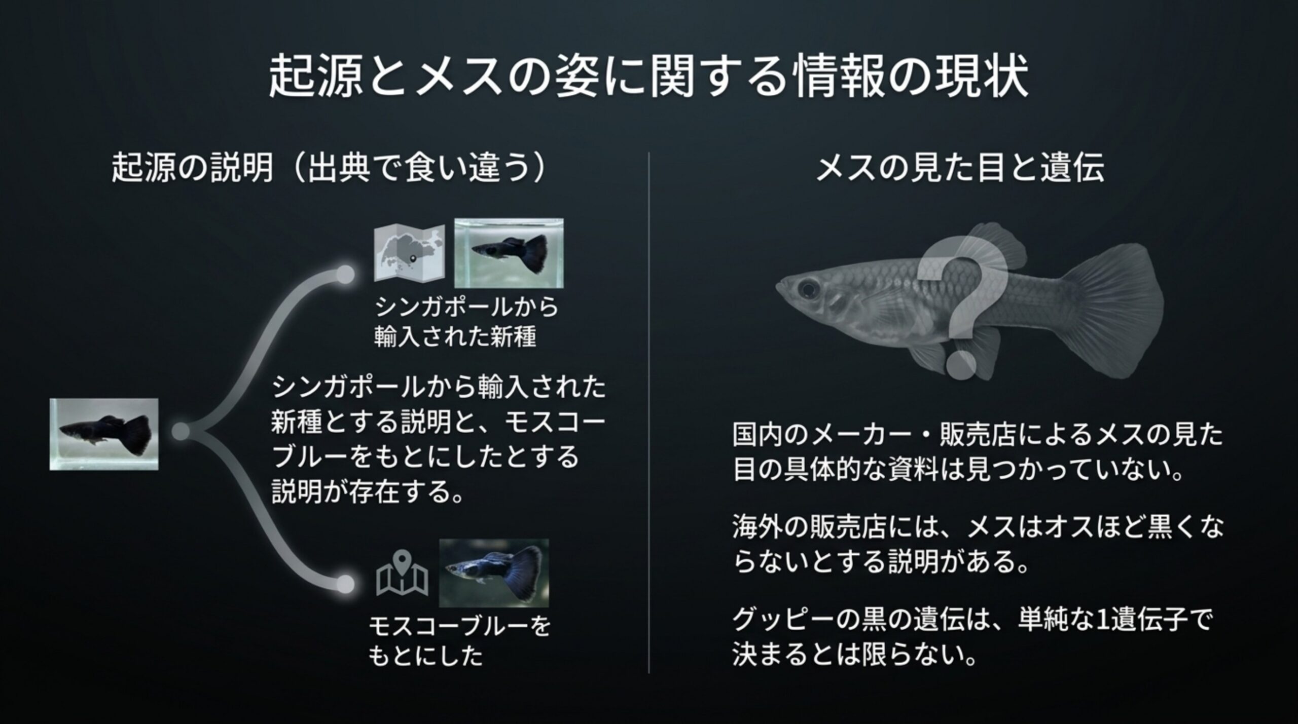 フルブラックの起源の説明が出典で食い違うことと、メスの見た目の資料が国内で見つかっていないことをまとめたスライド