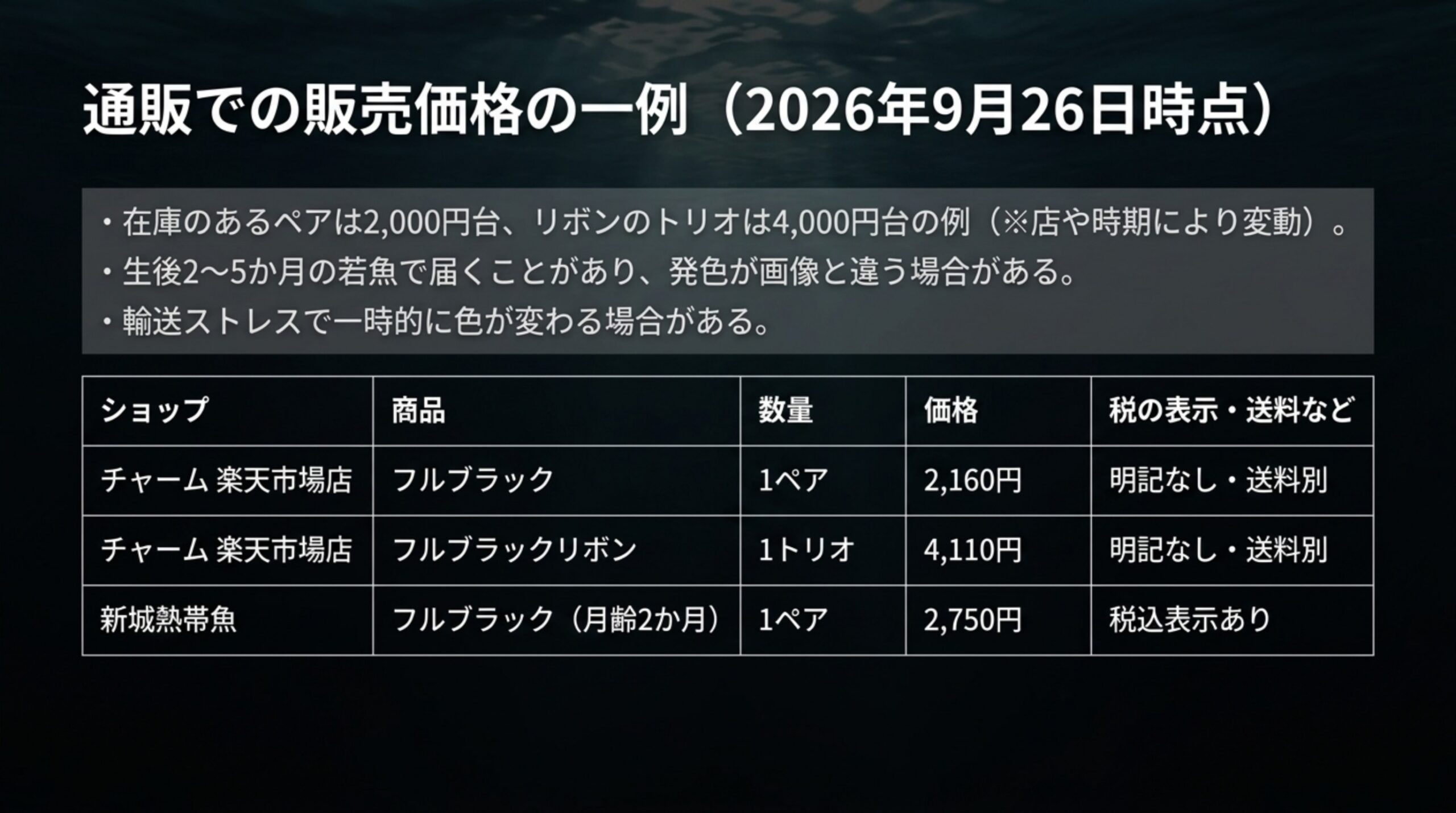 2026年9月26日時点のチャーム楽天市場店と新城熱帯魚でのフルブラックとフルブラックリボンの価格の例をまとめた表のスライド