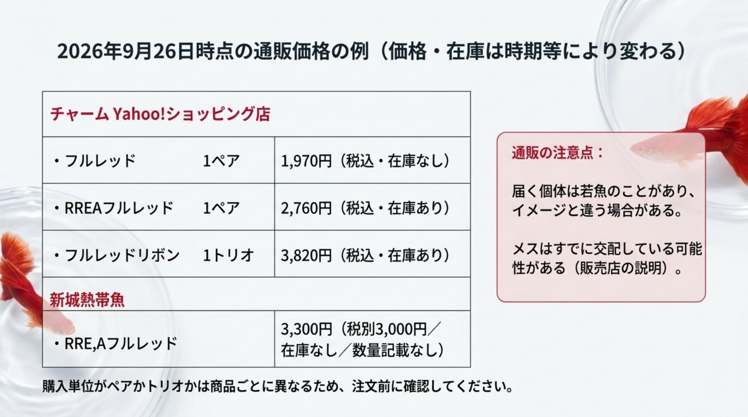 2026年9月26日時点のチャームと新城熱帯魚でのフルレッド系の価格と在庫の例、通販の注意点をまとめたスライド