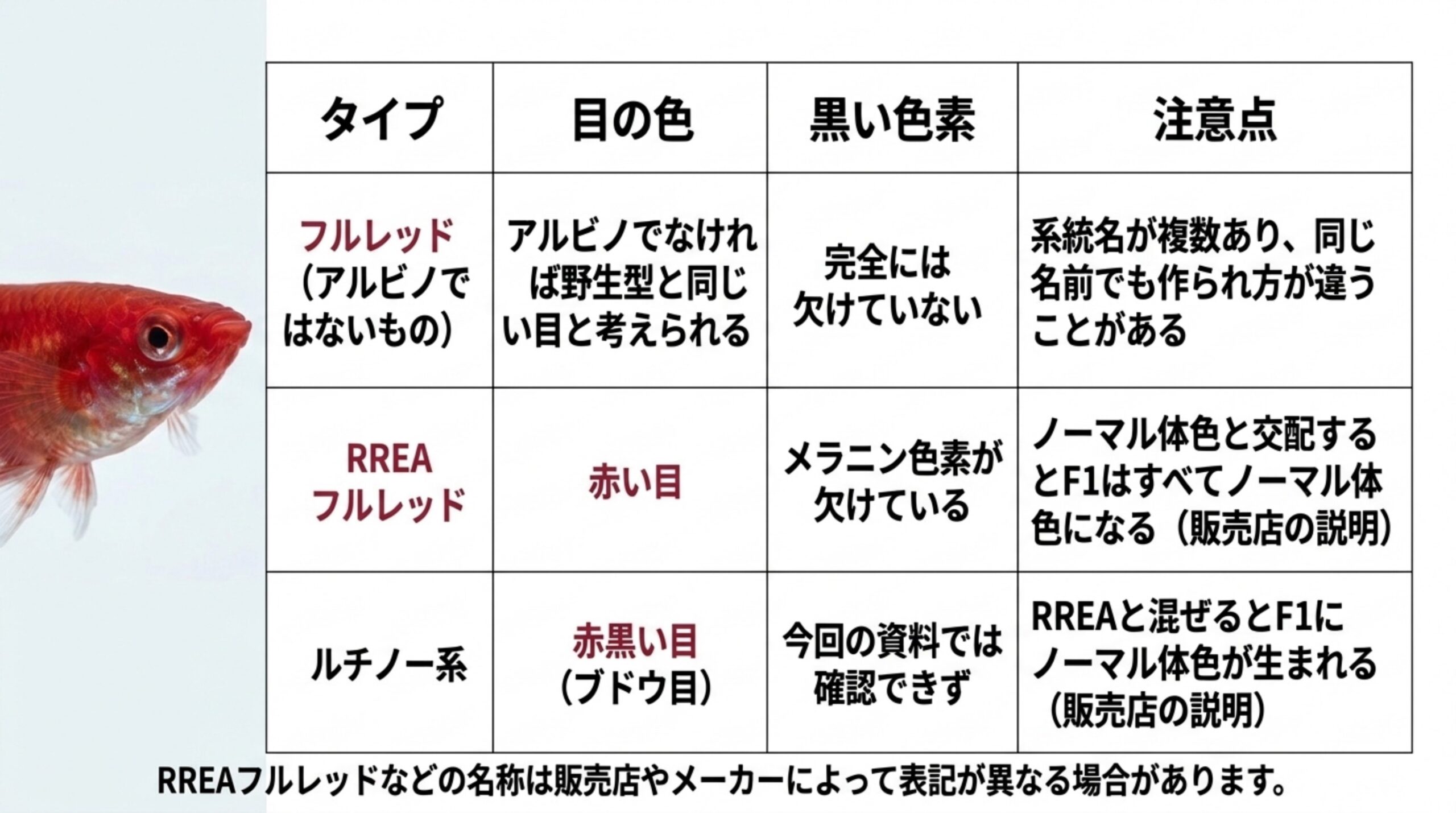 フルレッド、RREAフルレッド、ルチノー系の目の色、黒い色素、注意点を比べた表のスライド