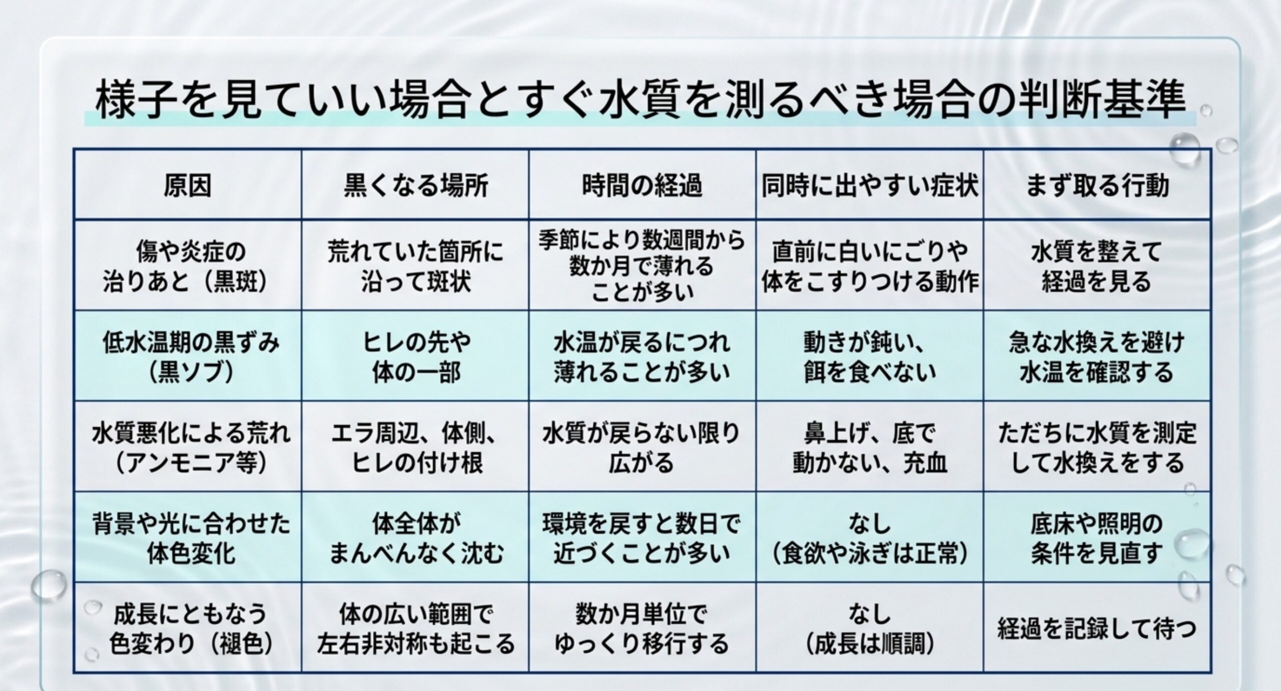 黒斑・黒ソブ・水質悪化・体色変化・褪色の5パターンについて、黒くなる場所と時間の経過、同時に出やすい症状、最初に取る行動を並べた表のスライド