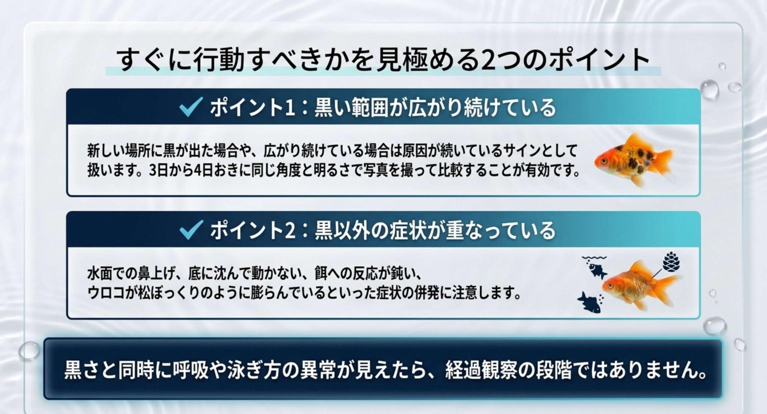 黒い範囲が広がり続けていないか、黒以外の症状が重なっていないかという2つの判断基準をまとめたスライド
