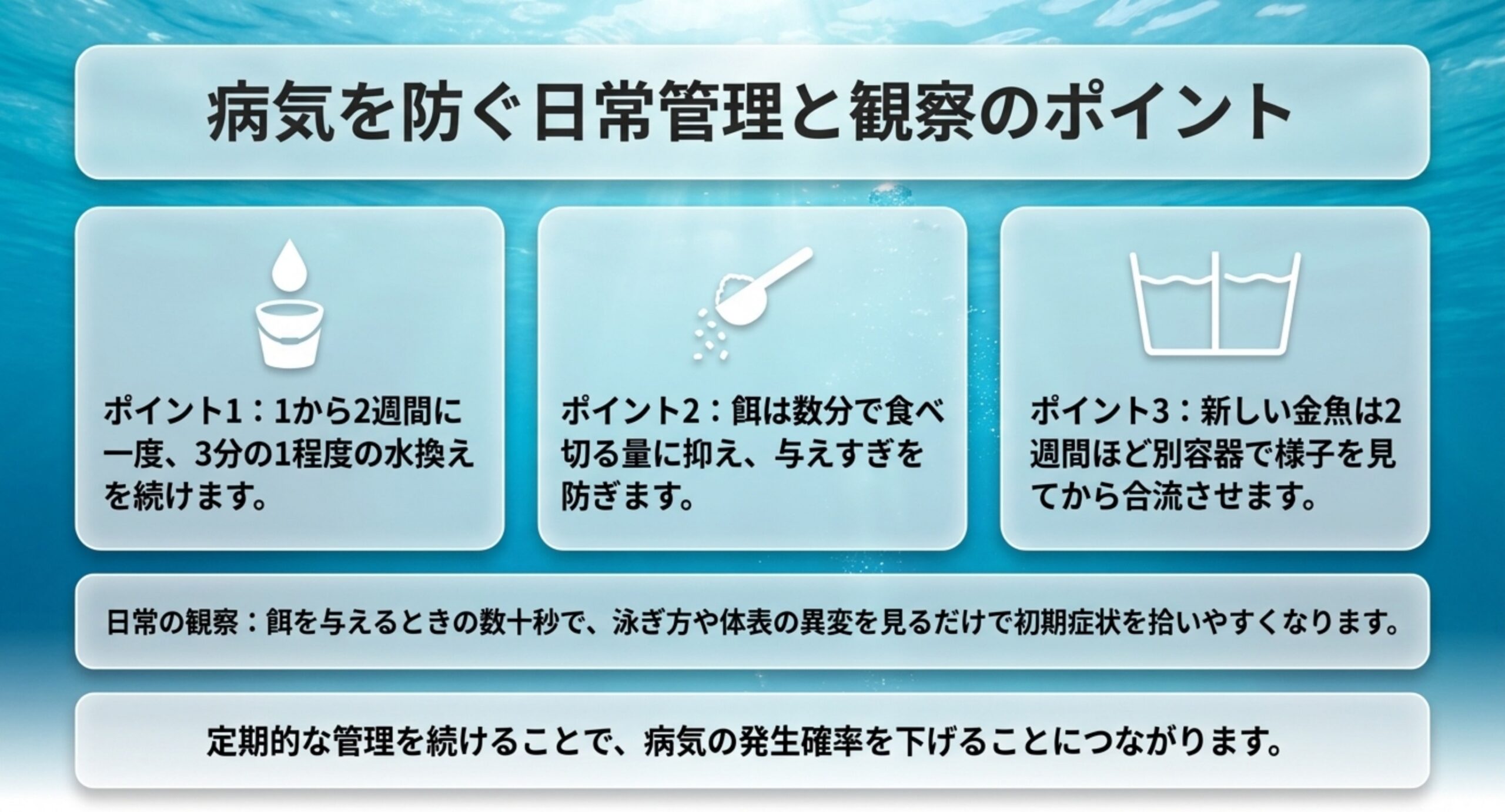 水換えの頻度・餌の量・新しい金魚の隔離という3つの日常管理と観察の要点を並べたスライド