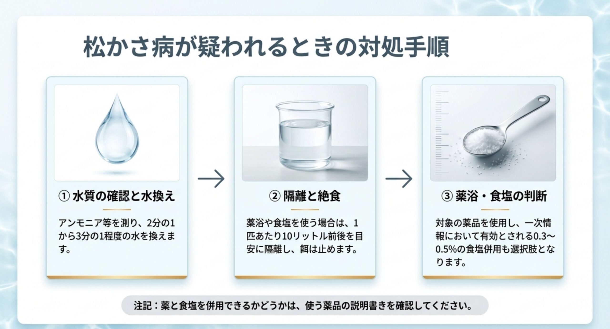 水質の確認と水換え・隔離と絶食・薬浴と食塩の判断という3つの手順を左から順に並べたスライド